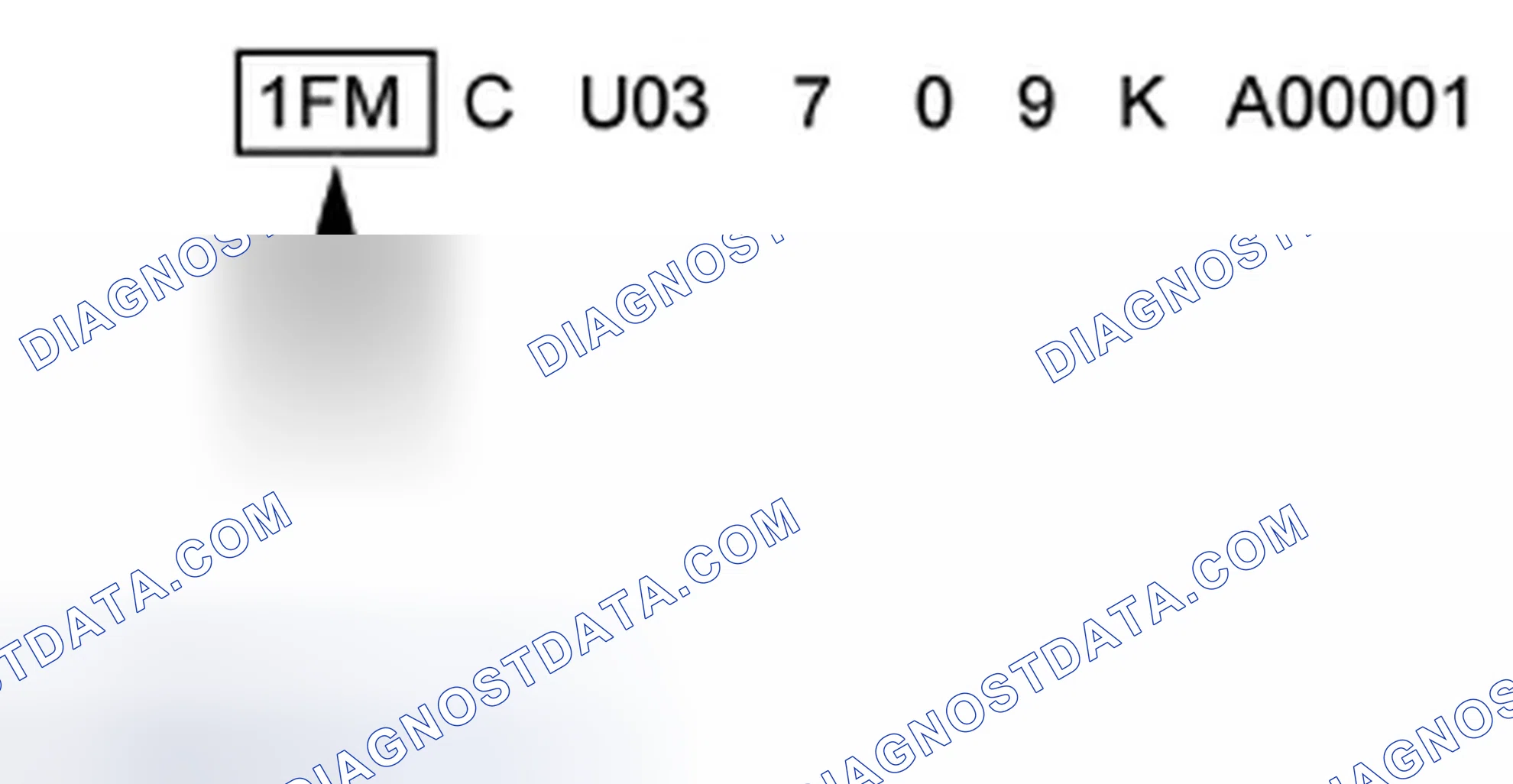 Scheme 3: World Manufacturer Identifier (WMI)