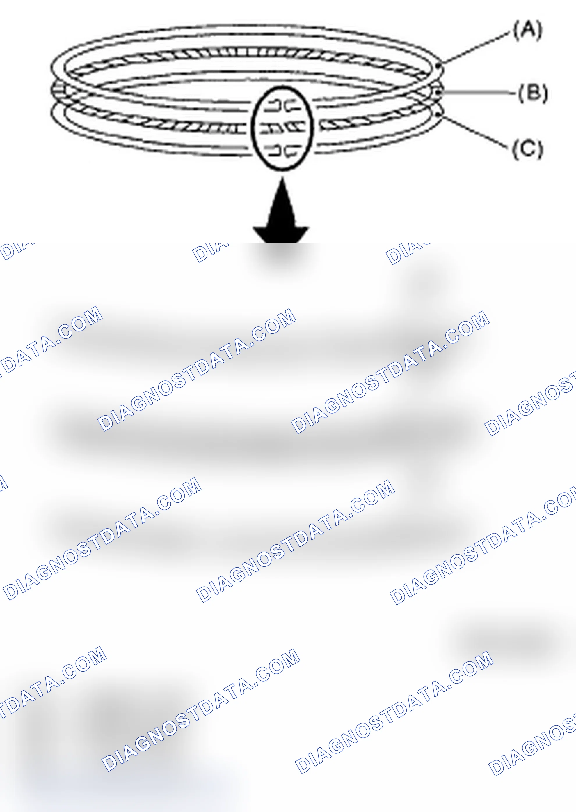 Scheme 683: PISTON RING
