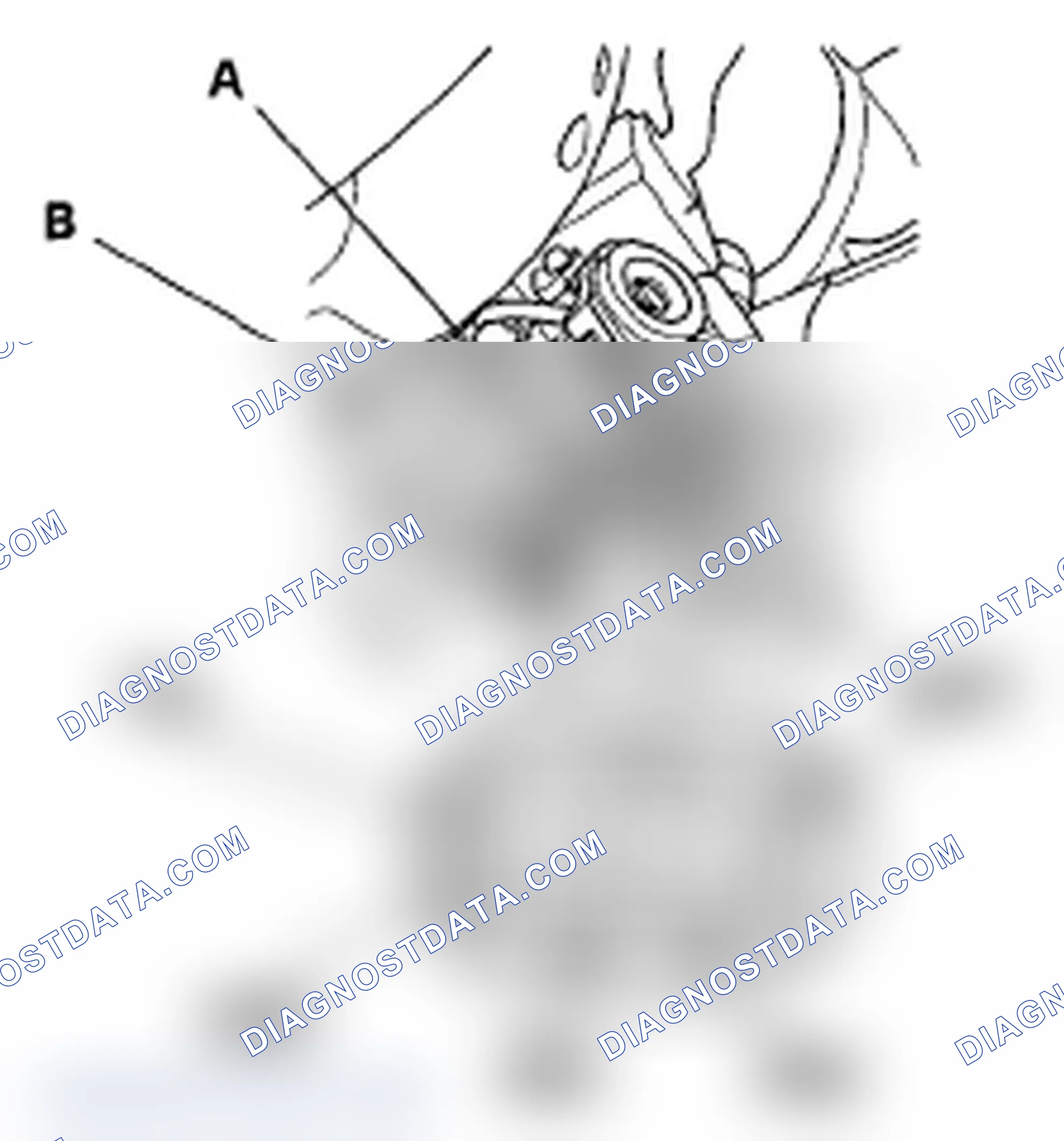 Scheme 1: Test