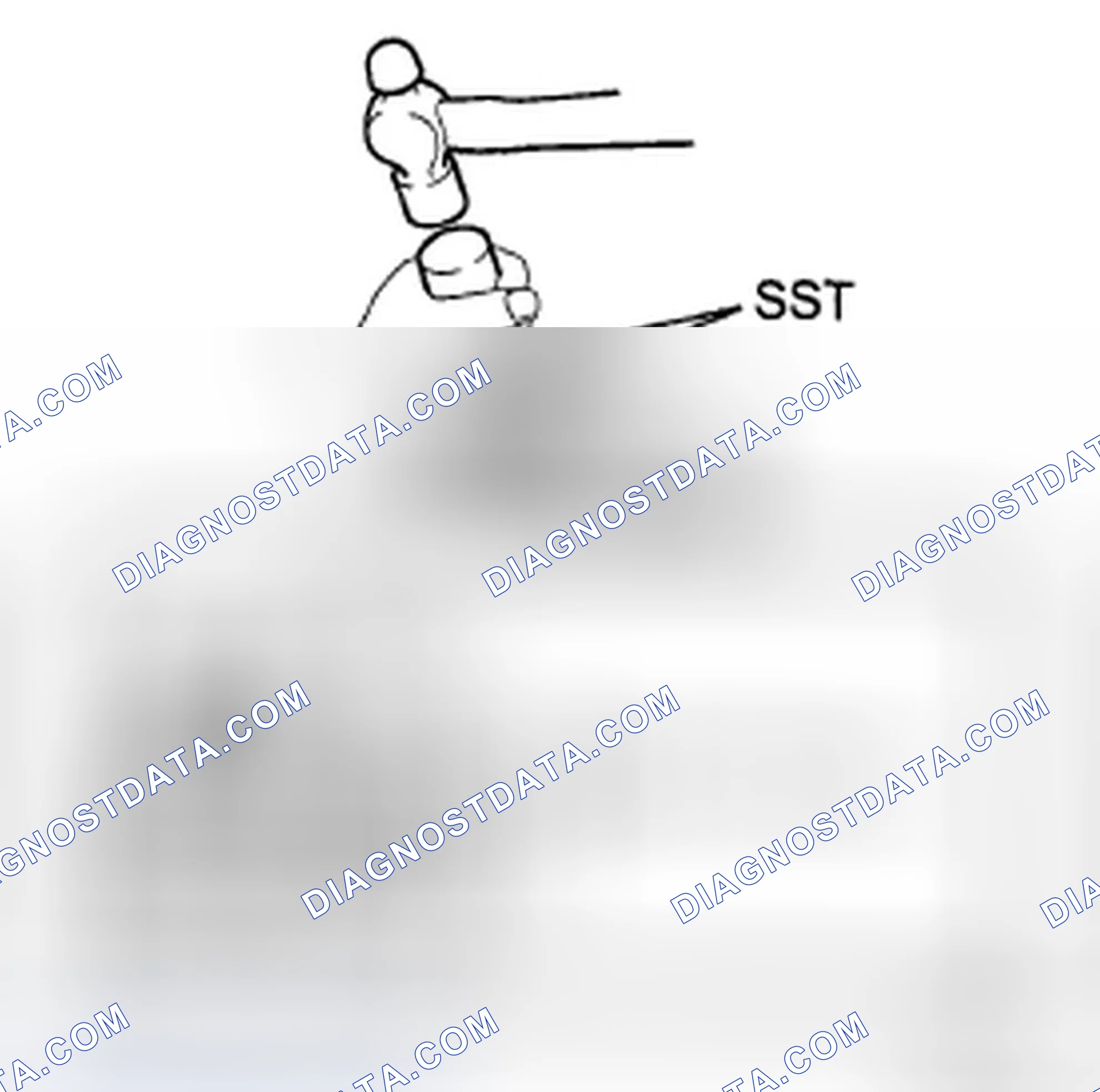 Scheme 15