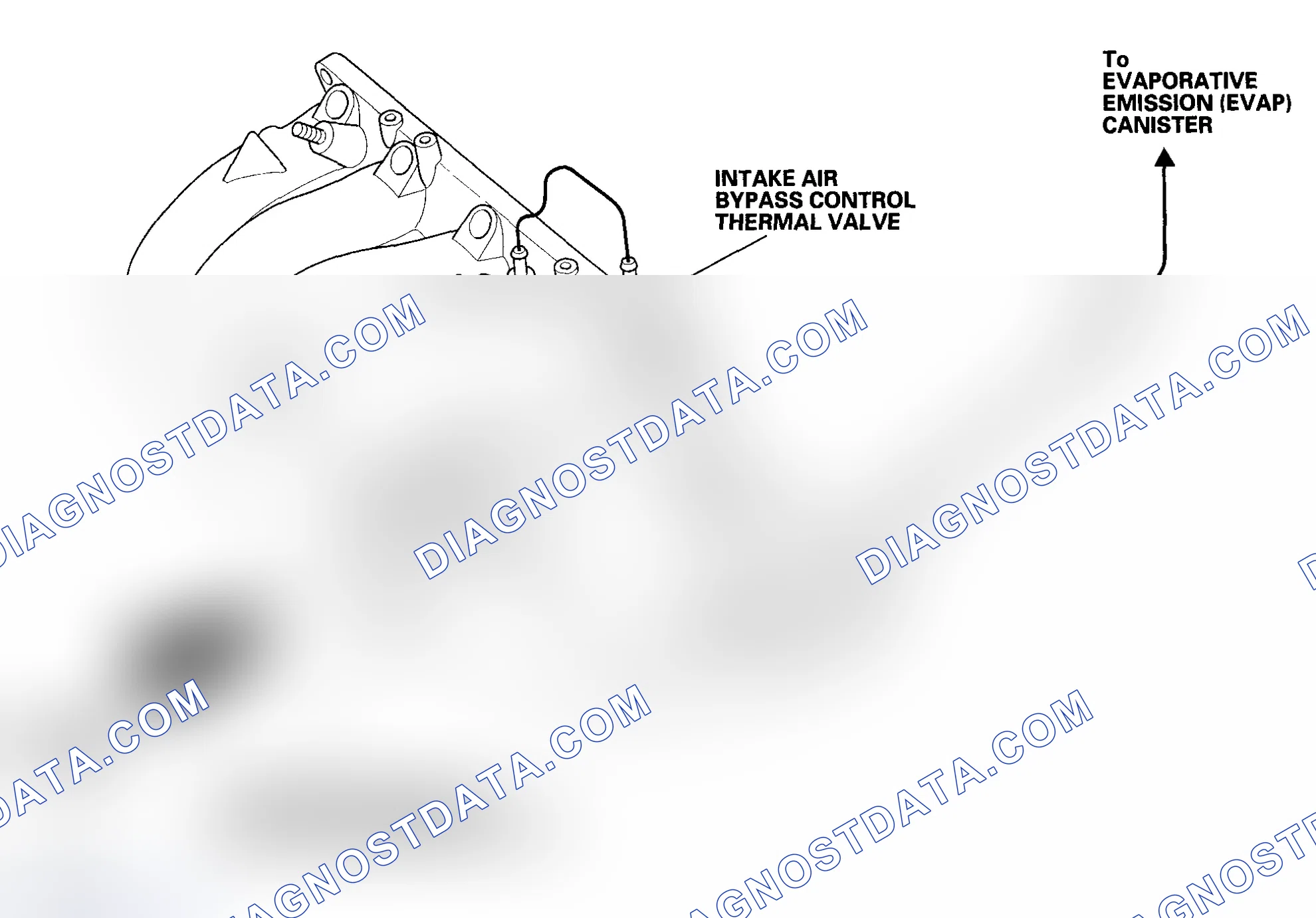 Scheme 51: K20A2/K20Z1 engines