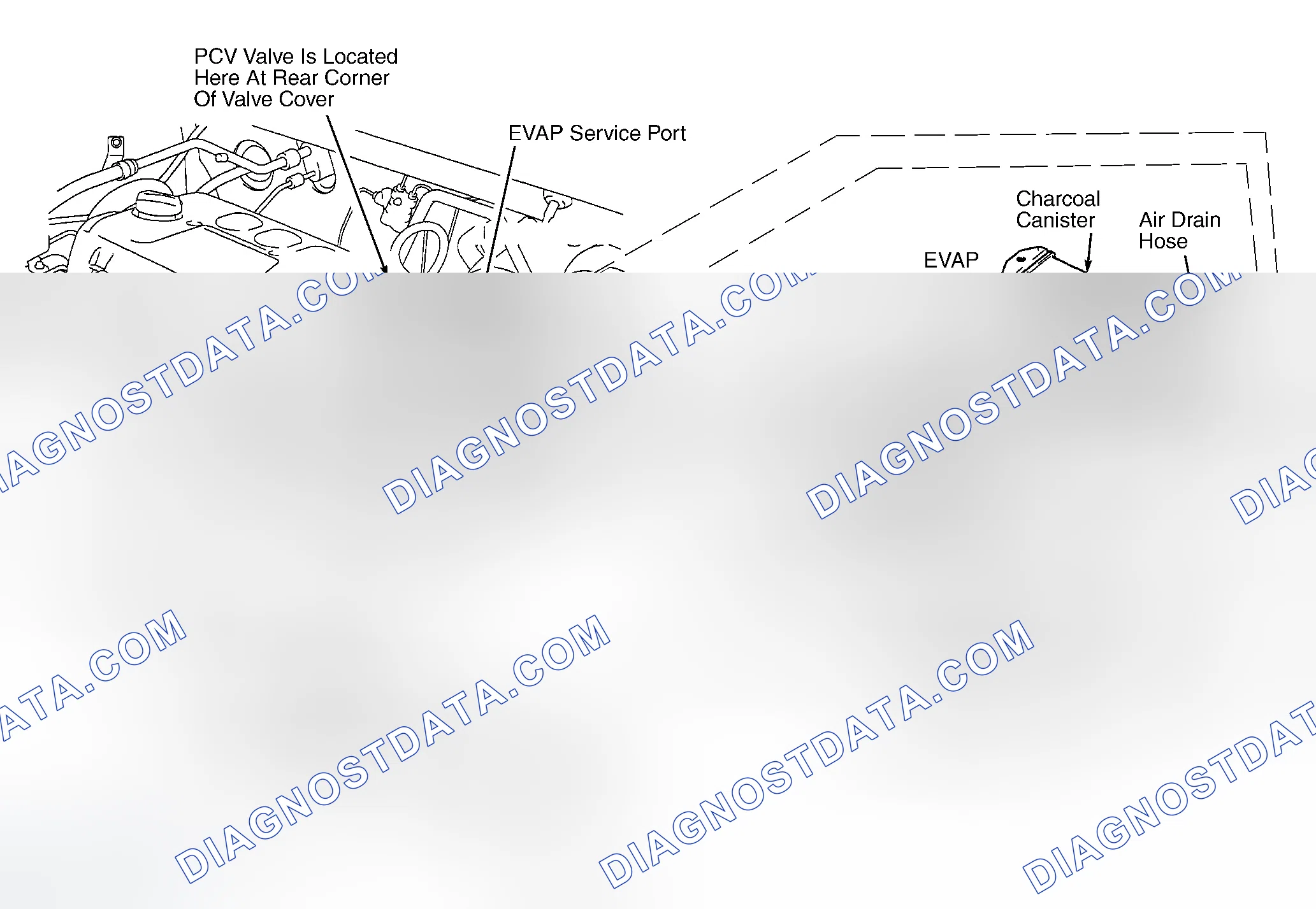 Scheme 325