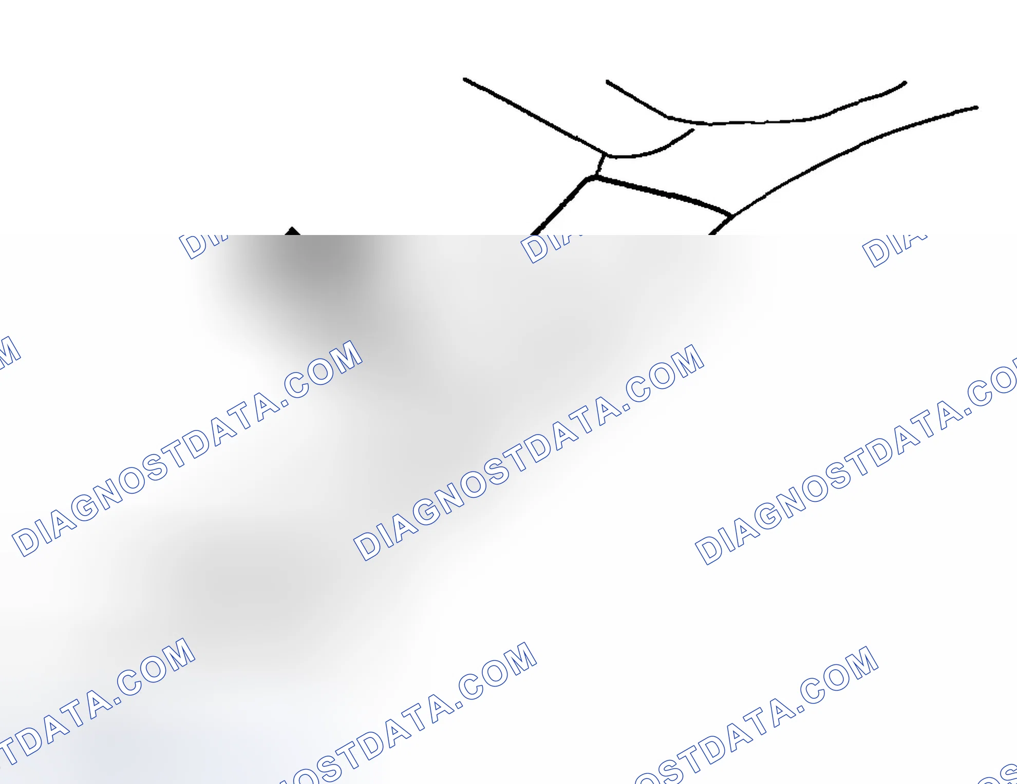 Scheme 18