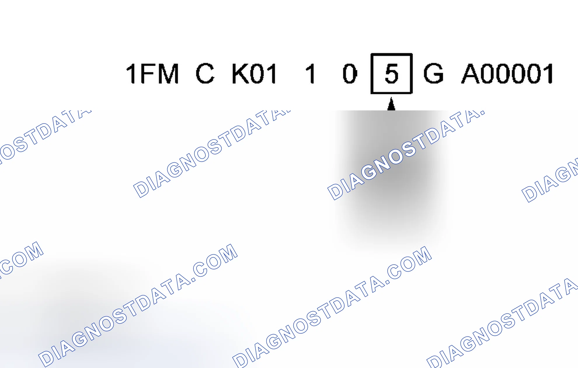 Scheme 18: Model Year