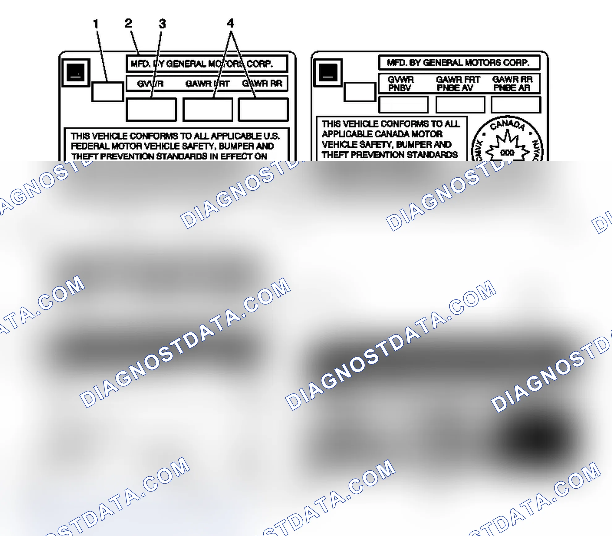 Scheme 5: Vehicle Certification, Tire Placard, Anti-Theft, and Service Parts ID Label