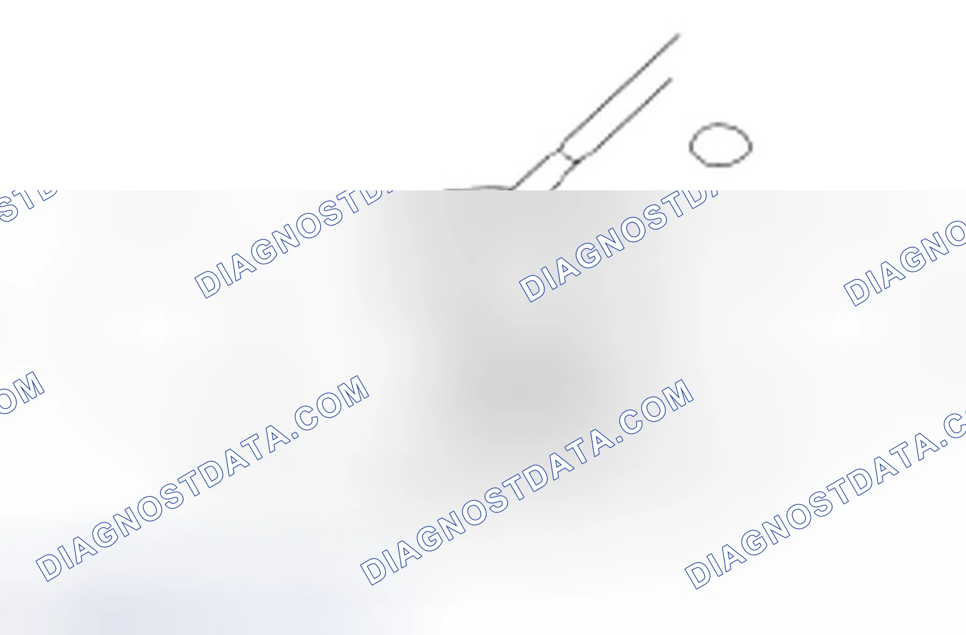 Scheme 2316: Valve Seat Width