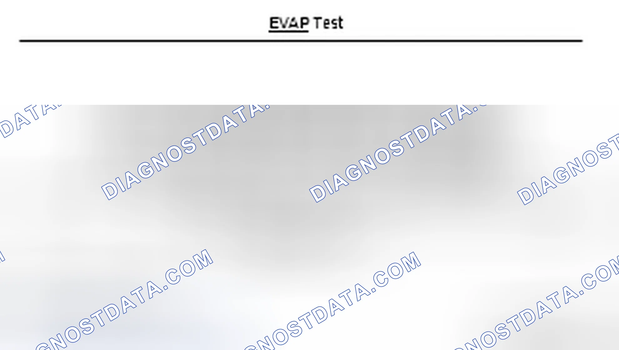 Scheme 96: EVAP system test description
