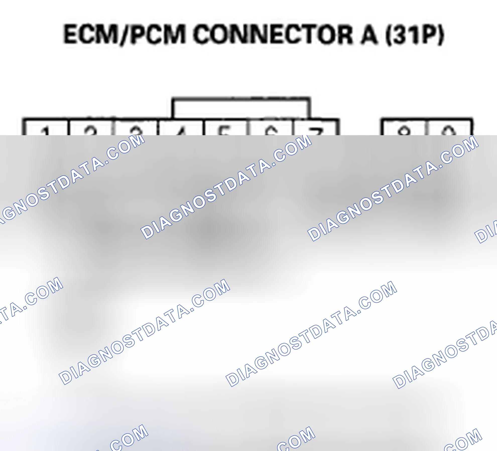 Scheme 383