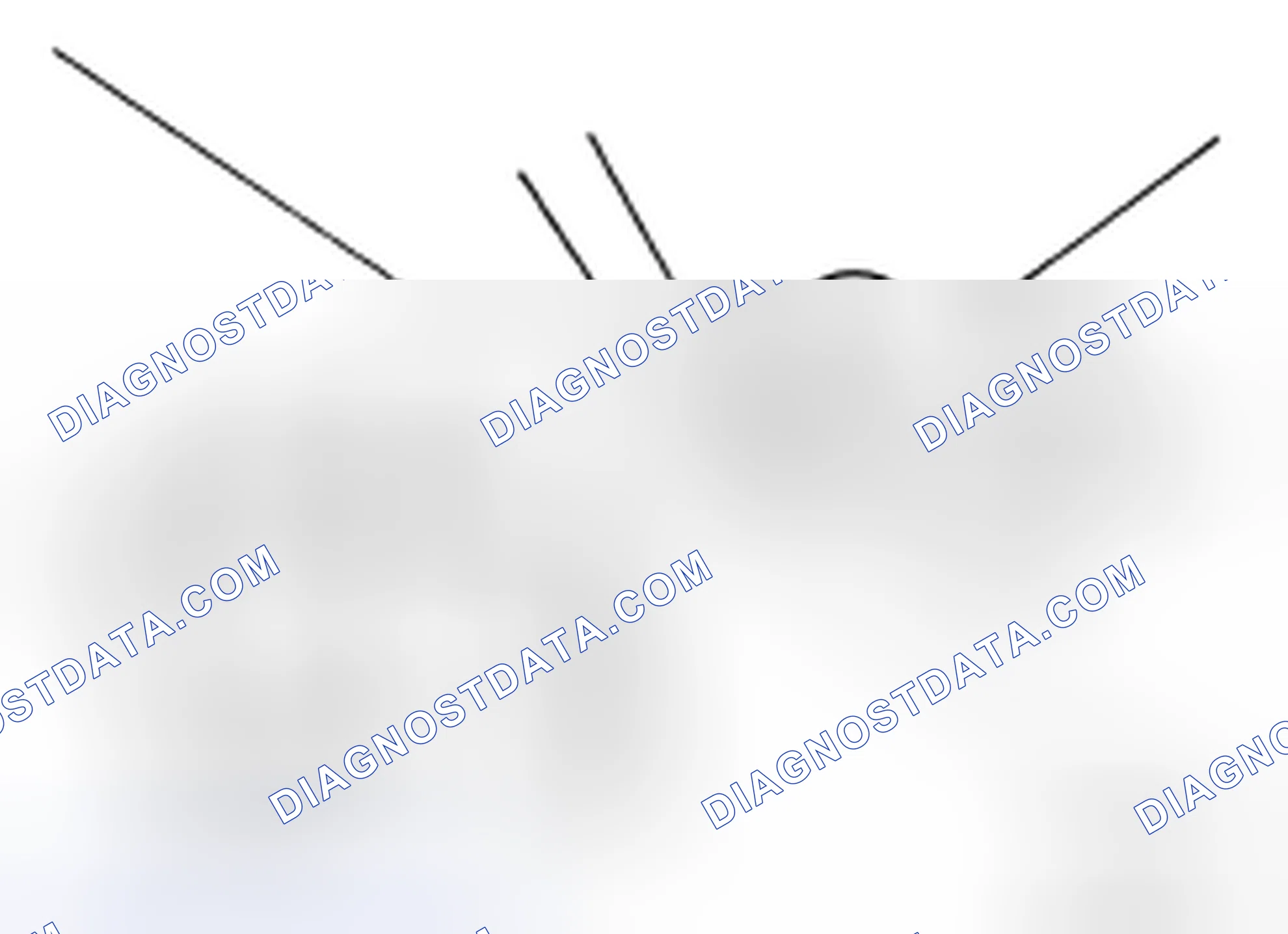 Scheme 41: Changing Brake Fluid