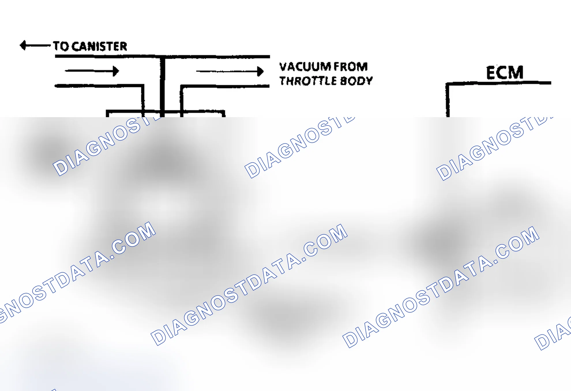Scheme 28: Chart C-3, Wiring Diagram Canister Purge Check