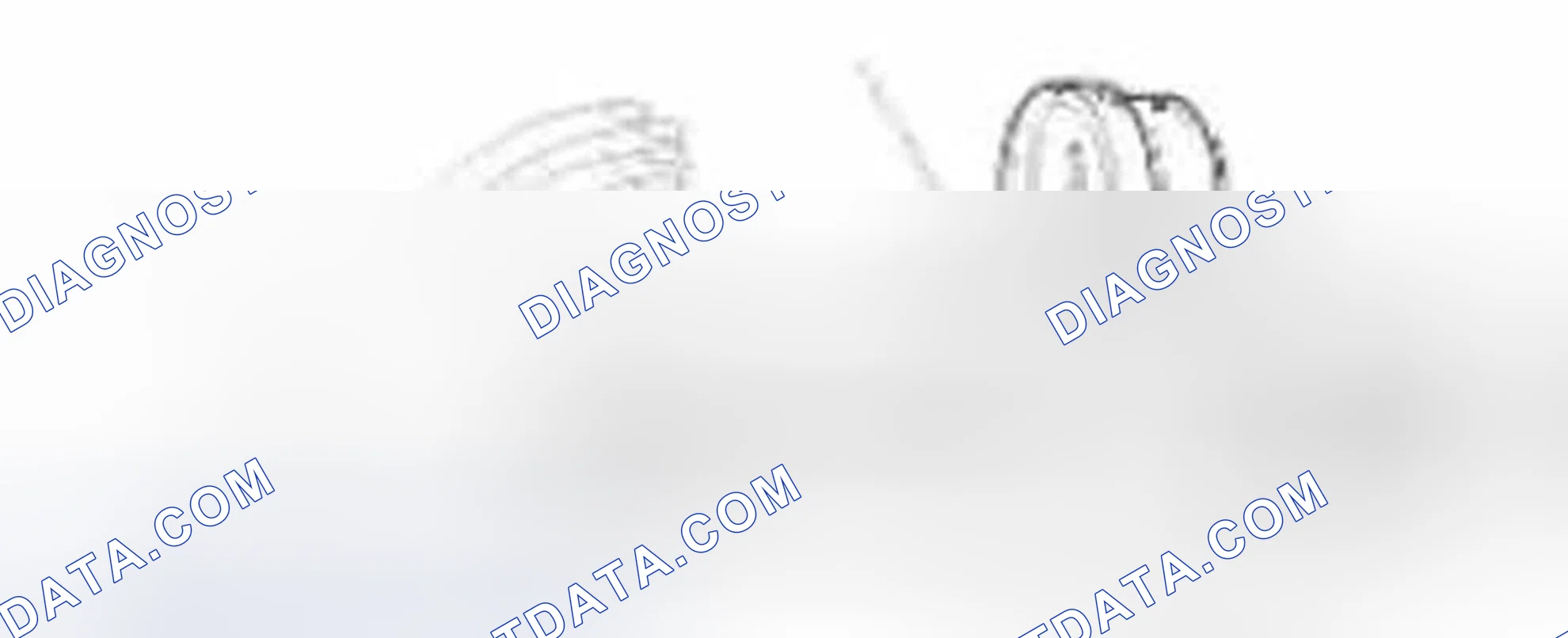 Scheme 27: Radiator Cap Testing
