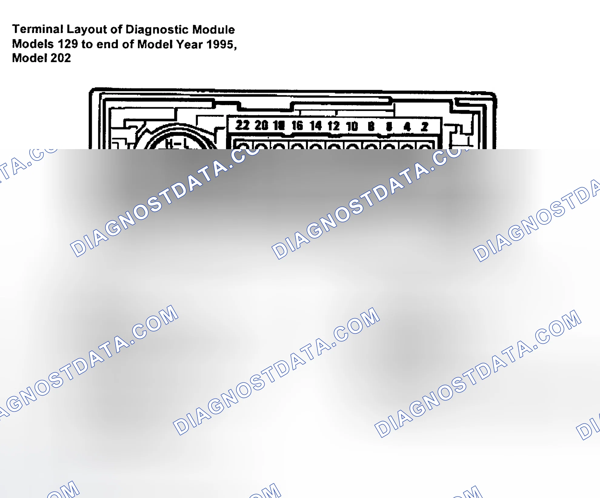 Scheme 77: CONNECTOR IDENTIFICATION