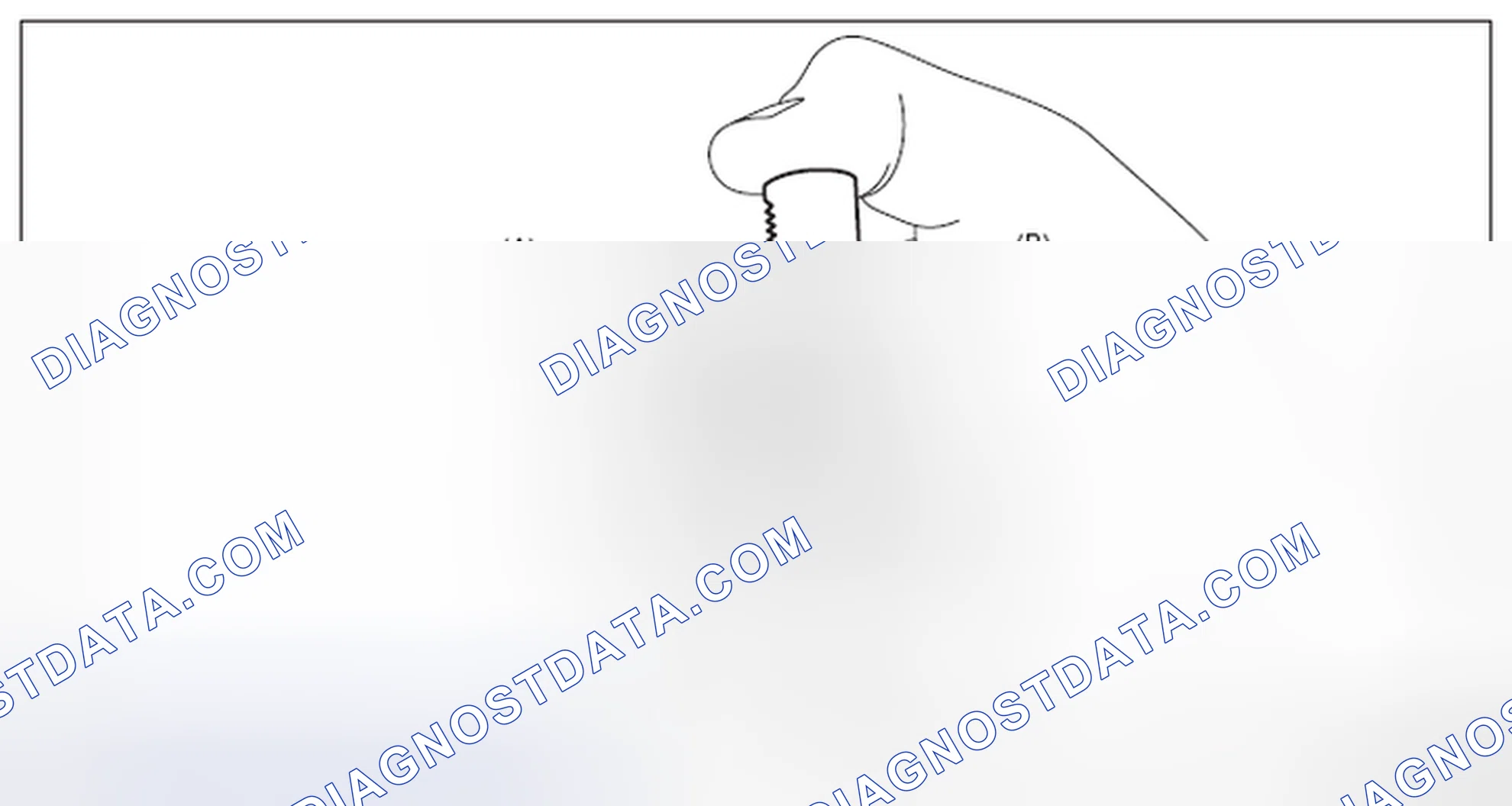 Scheme 201: TIMING CHAIN RH