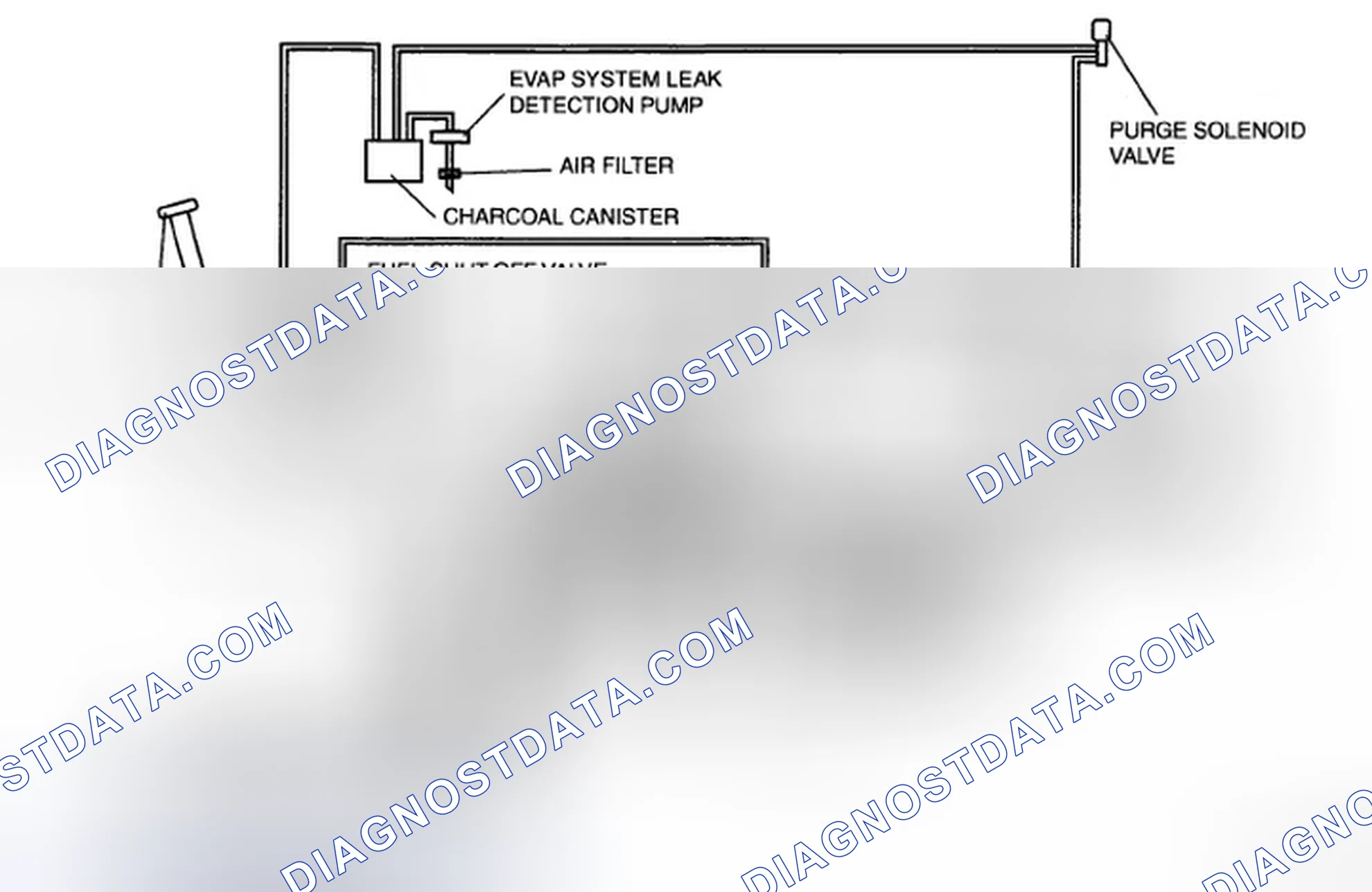 Scheme 5: California emission regulation applicable model