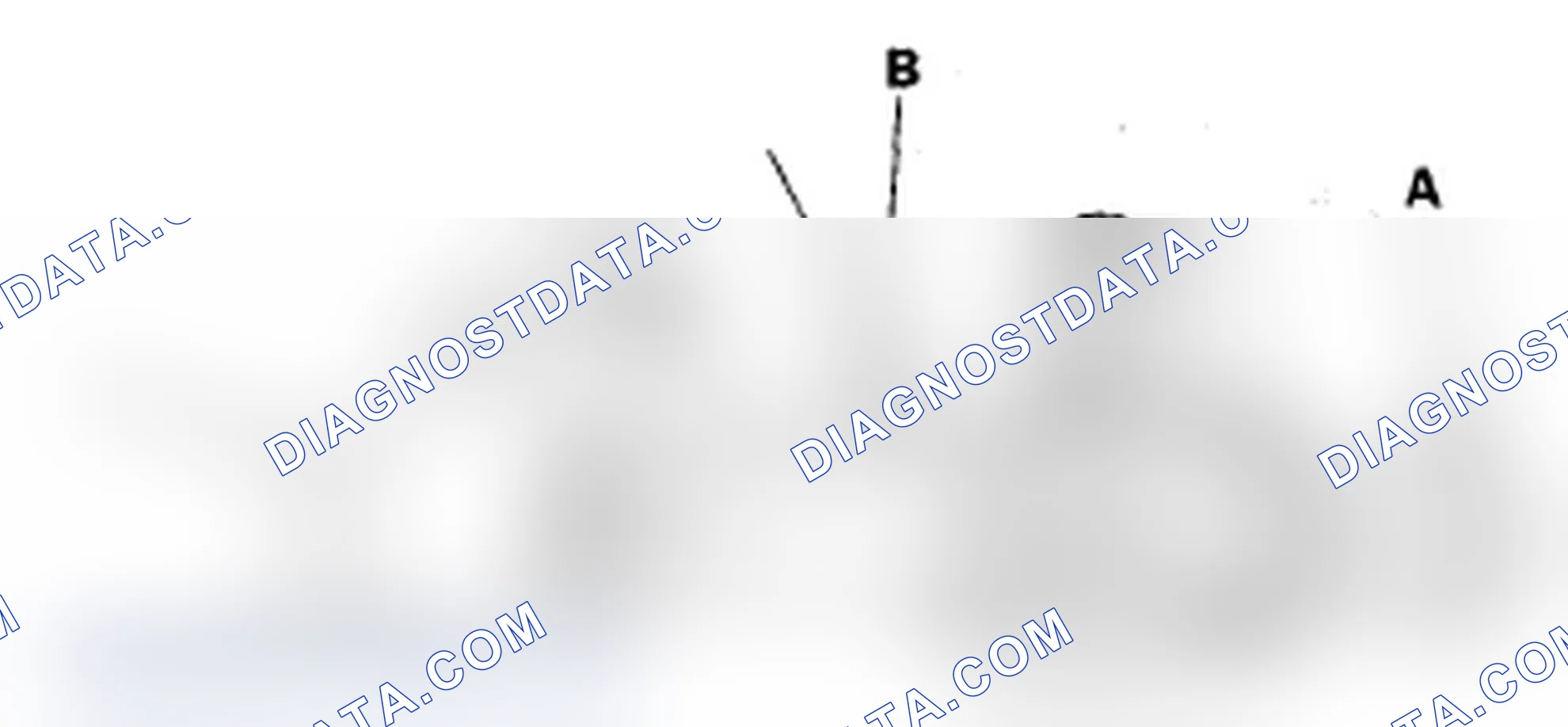 Scheme 2: Radiator Cap Test