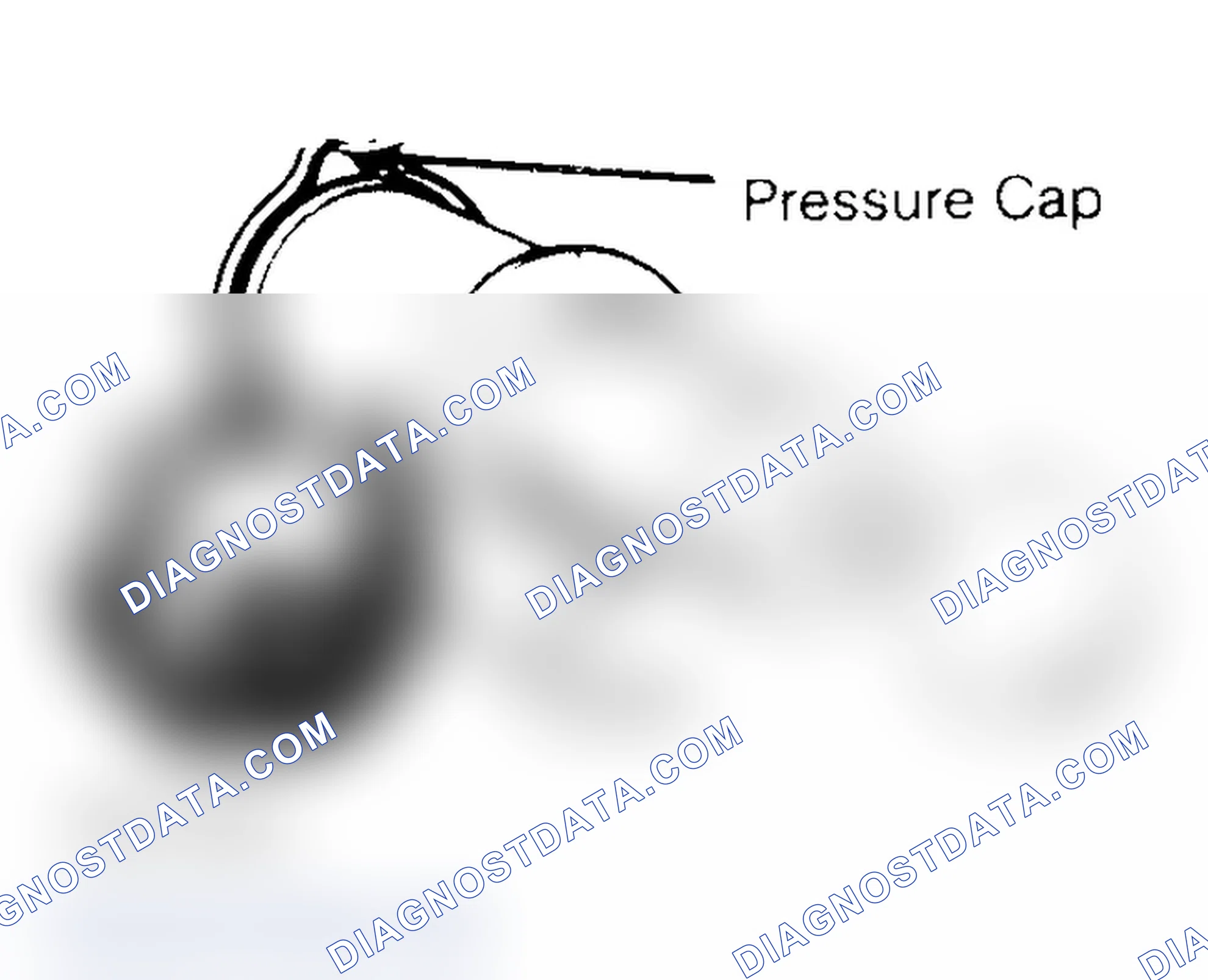 Scheme 2: Pressure Testing Radiator Cap