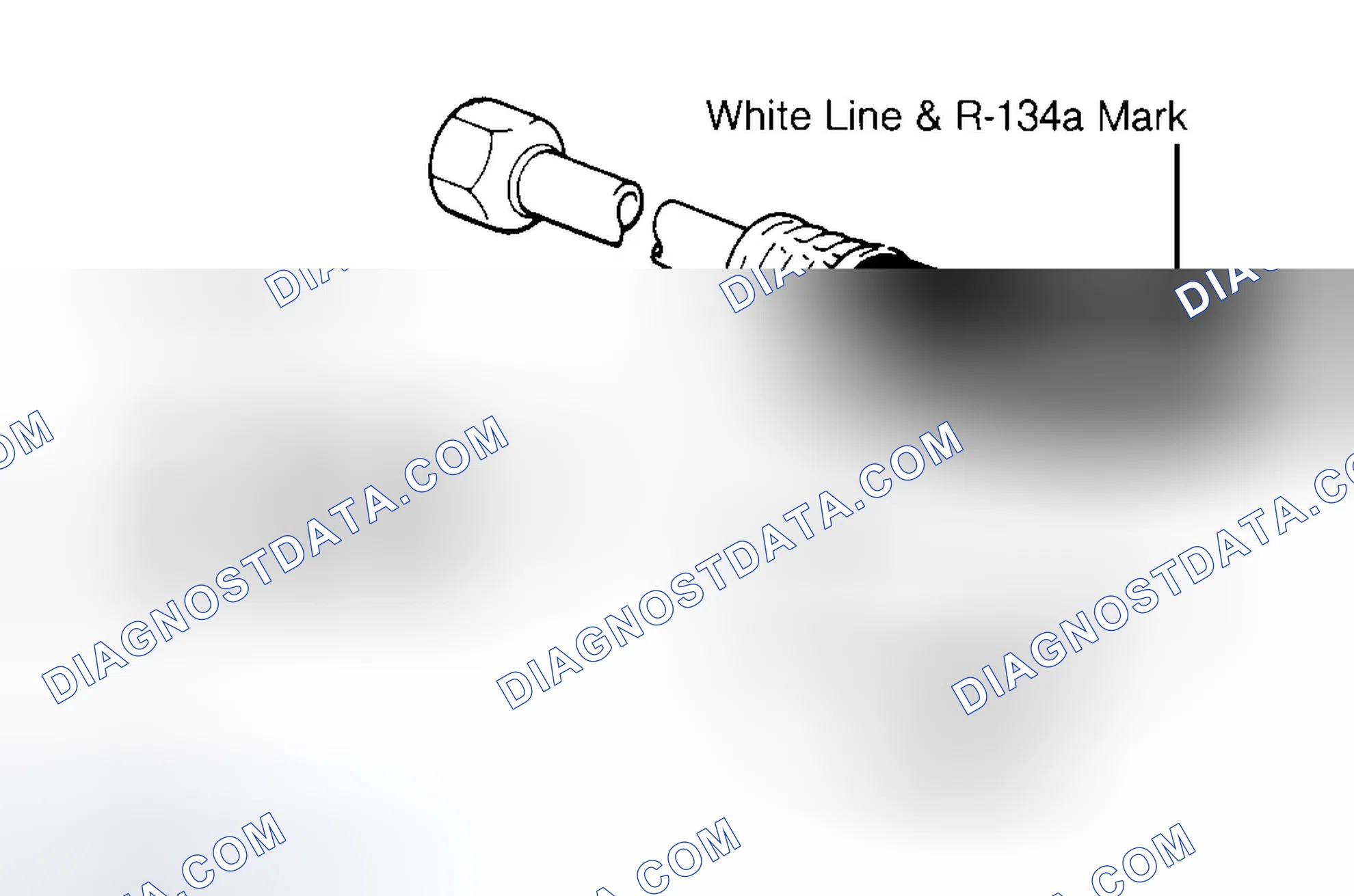 Scheme 24: Other Means Of Identification