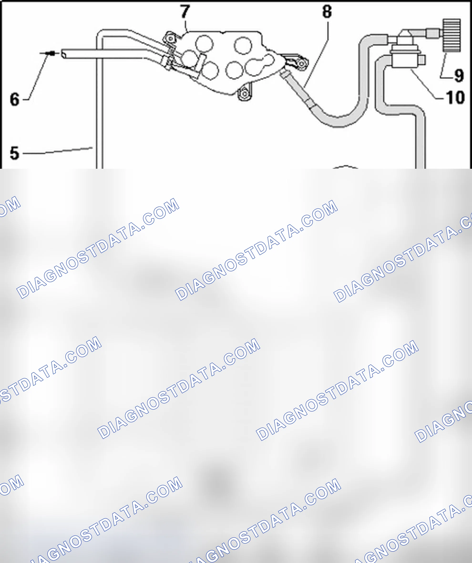 Scheme 335: Hose routing, EVAP canister/leak detection system (8-cyl. FSI engine (Audi RS4))
