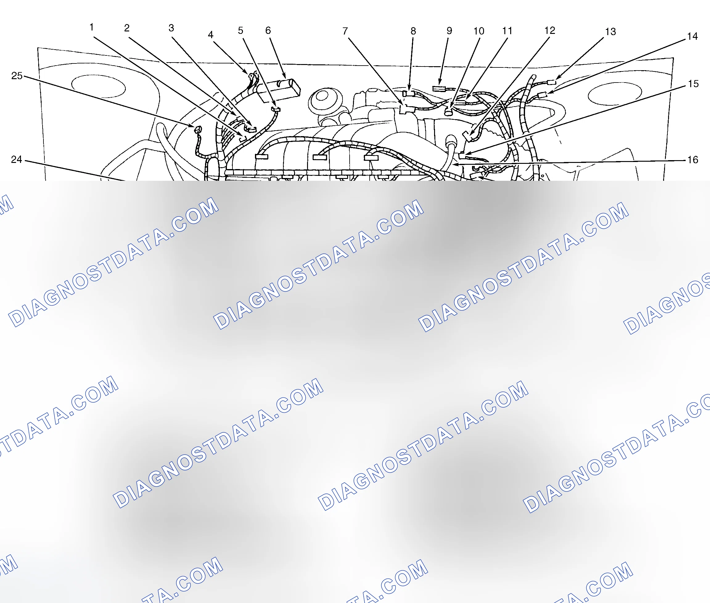 Scheme 5: Engine Compartment (3.0L 2V)