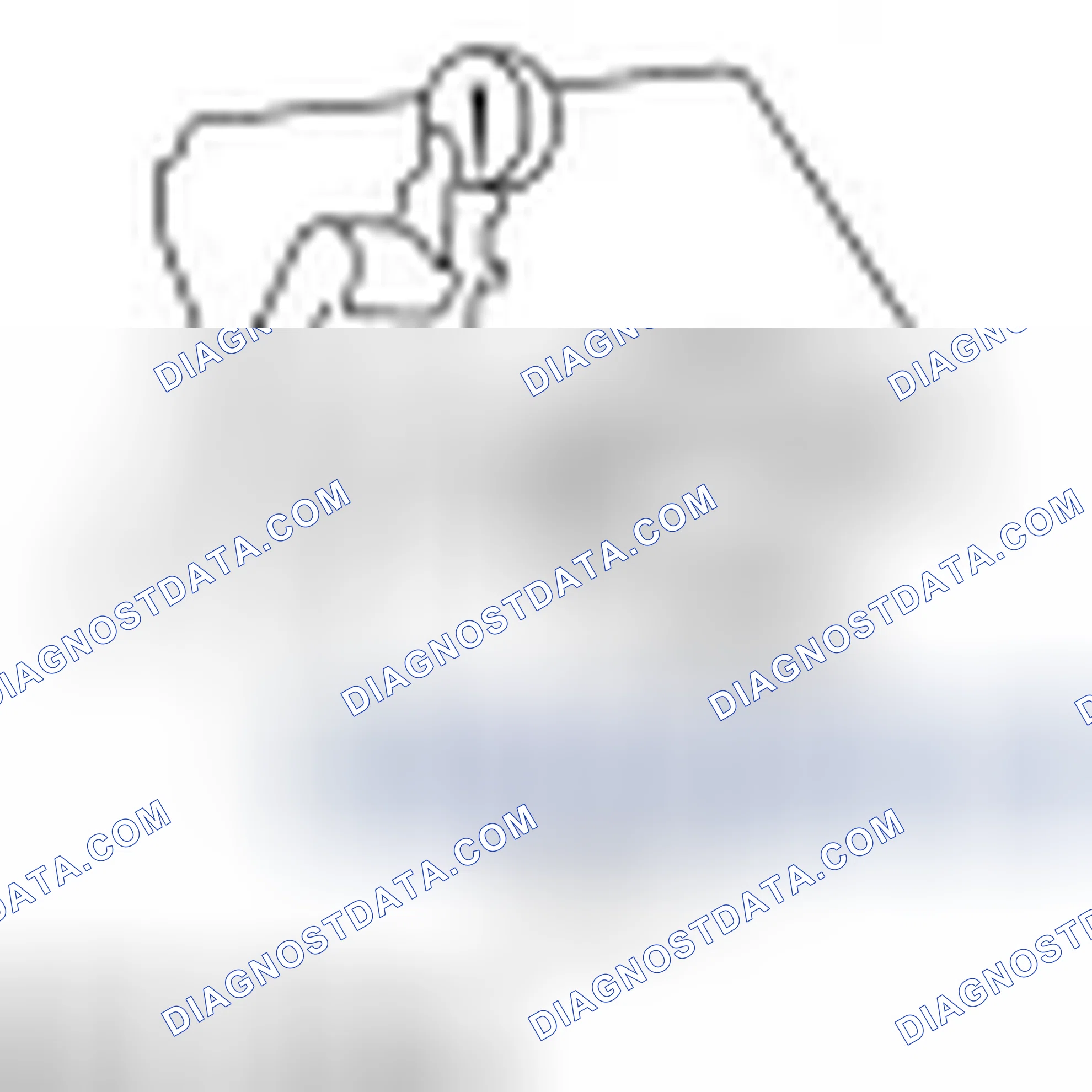 Scheme 13: Power Steering System Purging