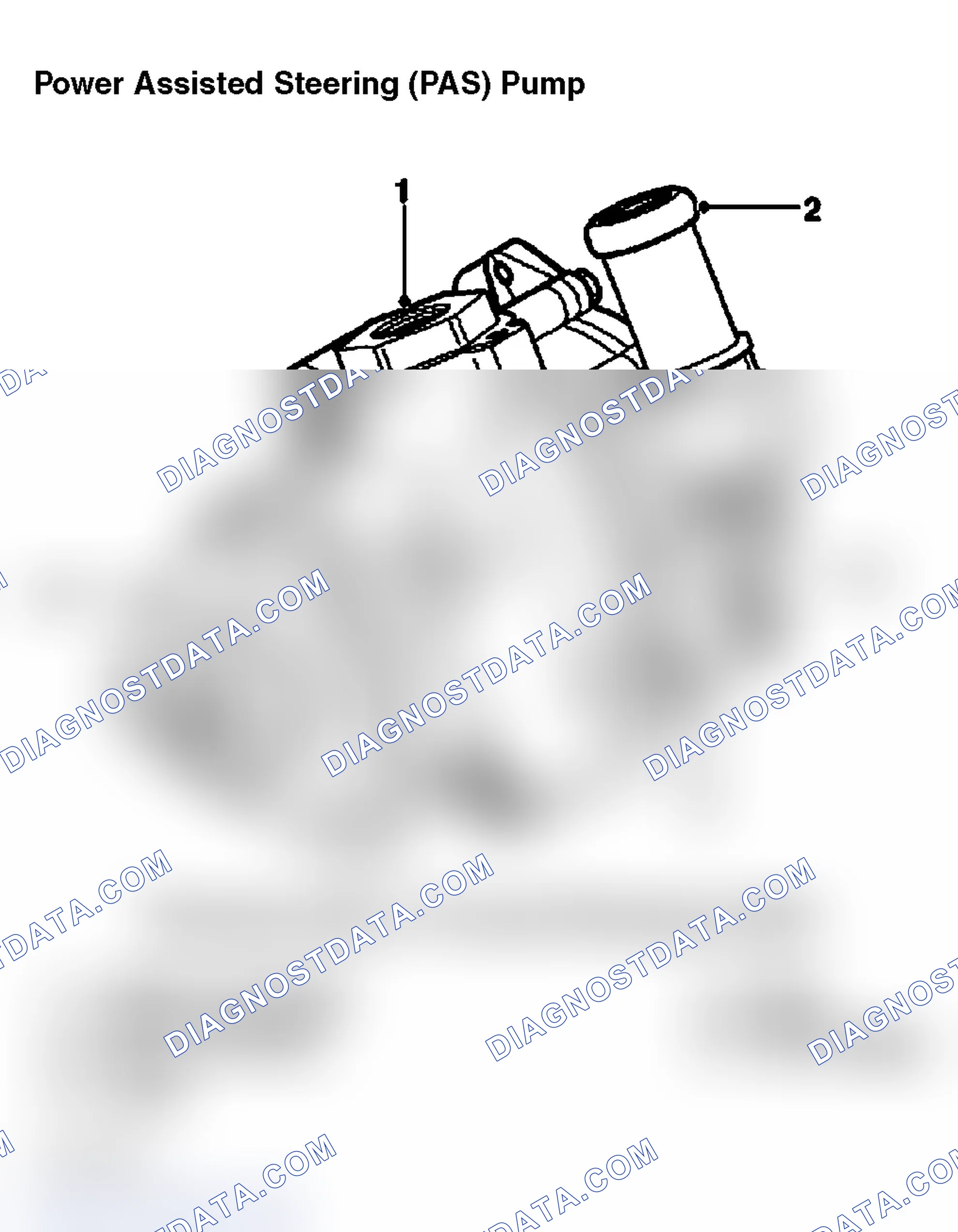 Scheme 5: POWER ASSISTED STEERING (PAS) PUMP
