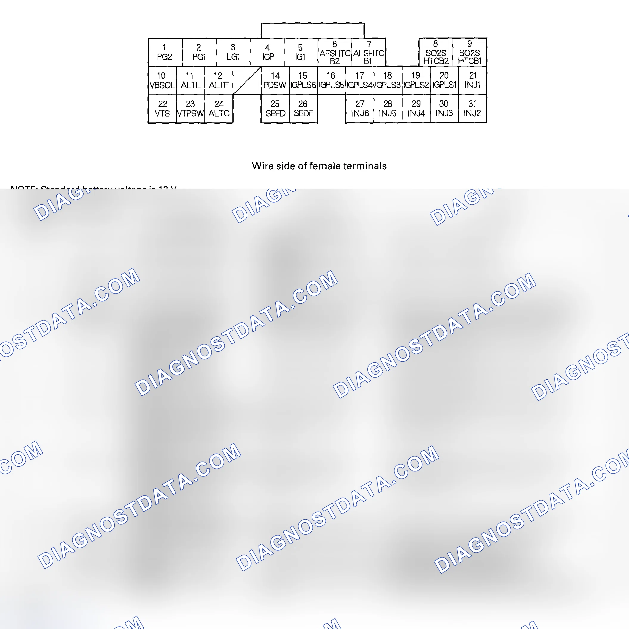 Scheme 28: ECM/PCM Inputs and Outputs at Connector E (31P) - 2004-2005 Models