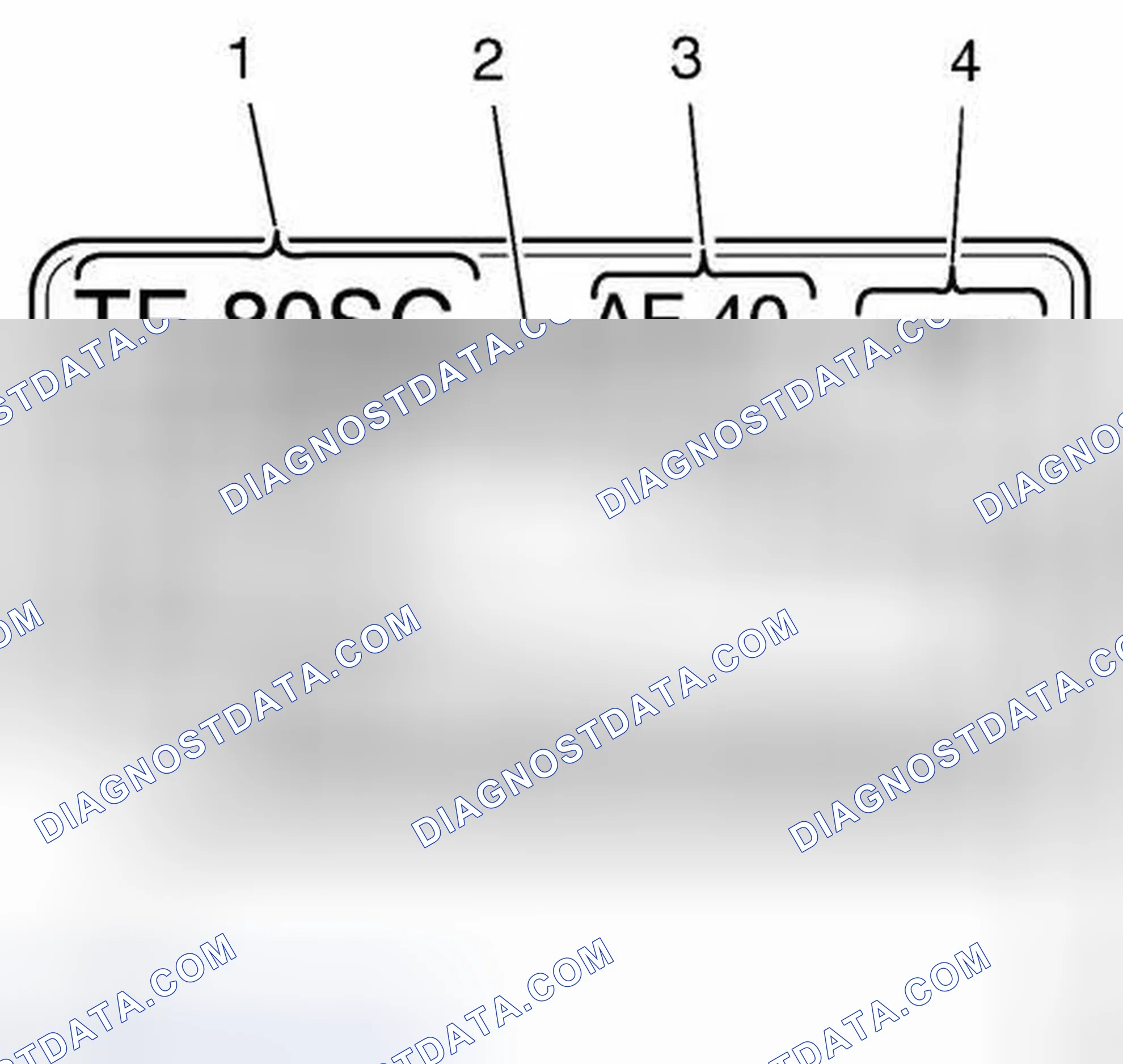 Scheme 14: Transmission Identification Information