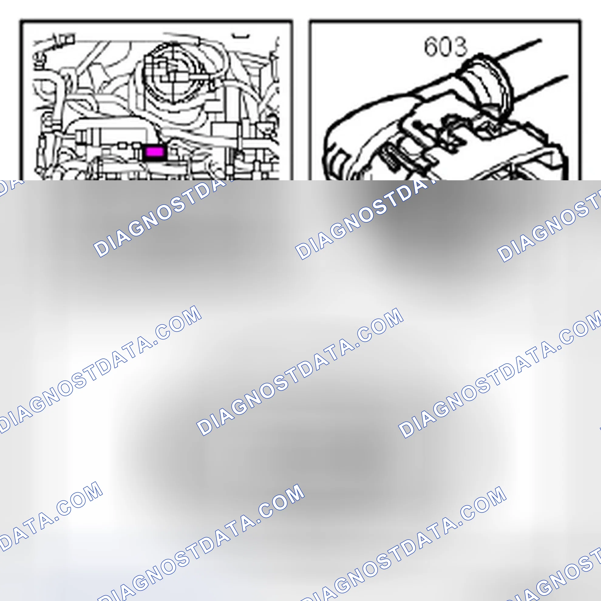 Scheme 883: Z19DTH