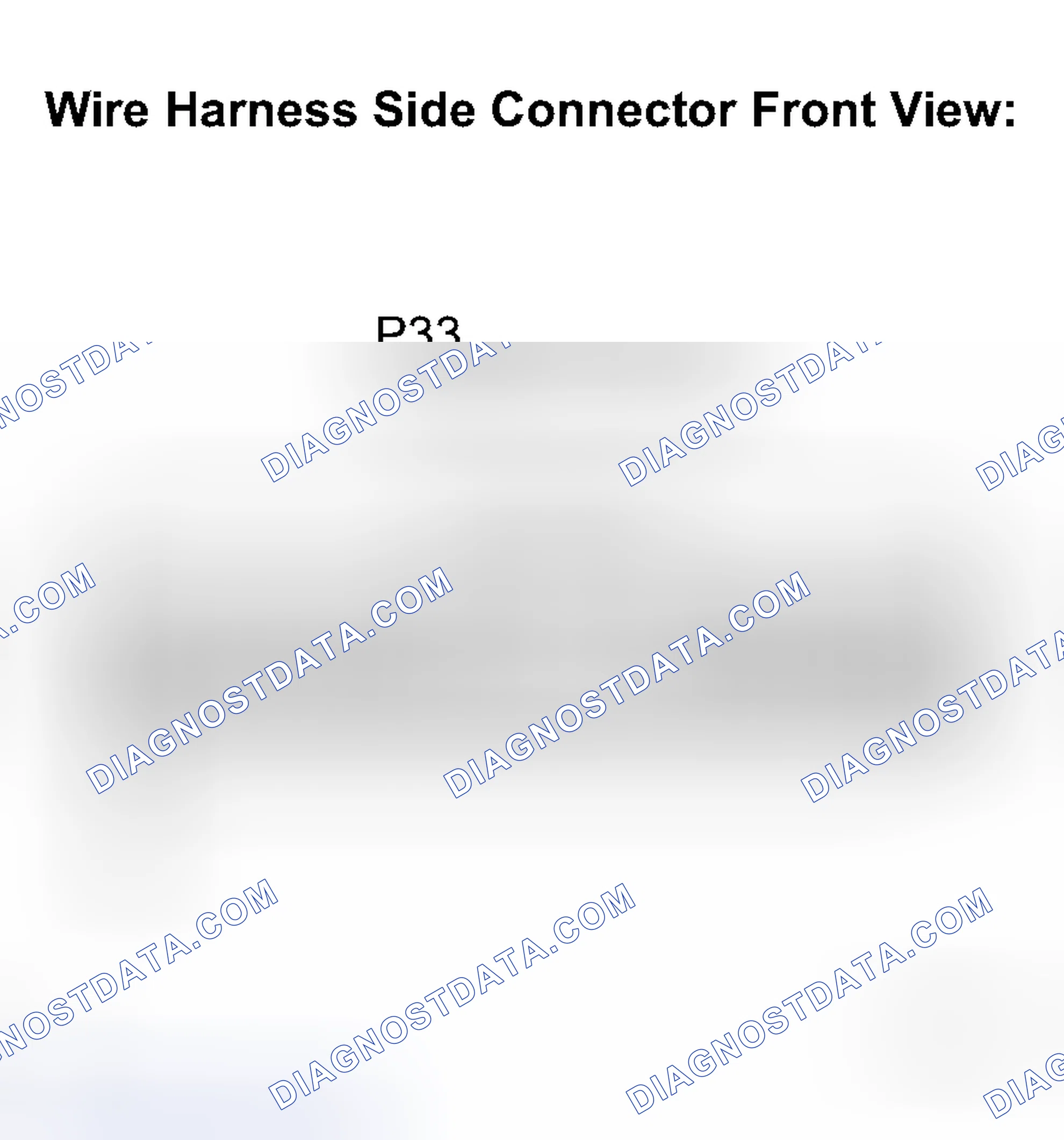 Scheme 207: INSPECTION PROCEDURE