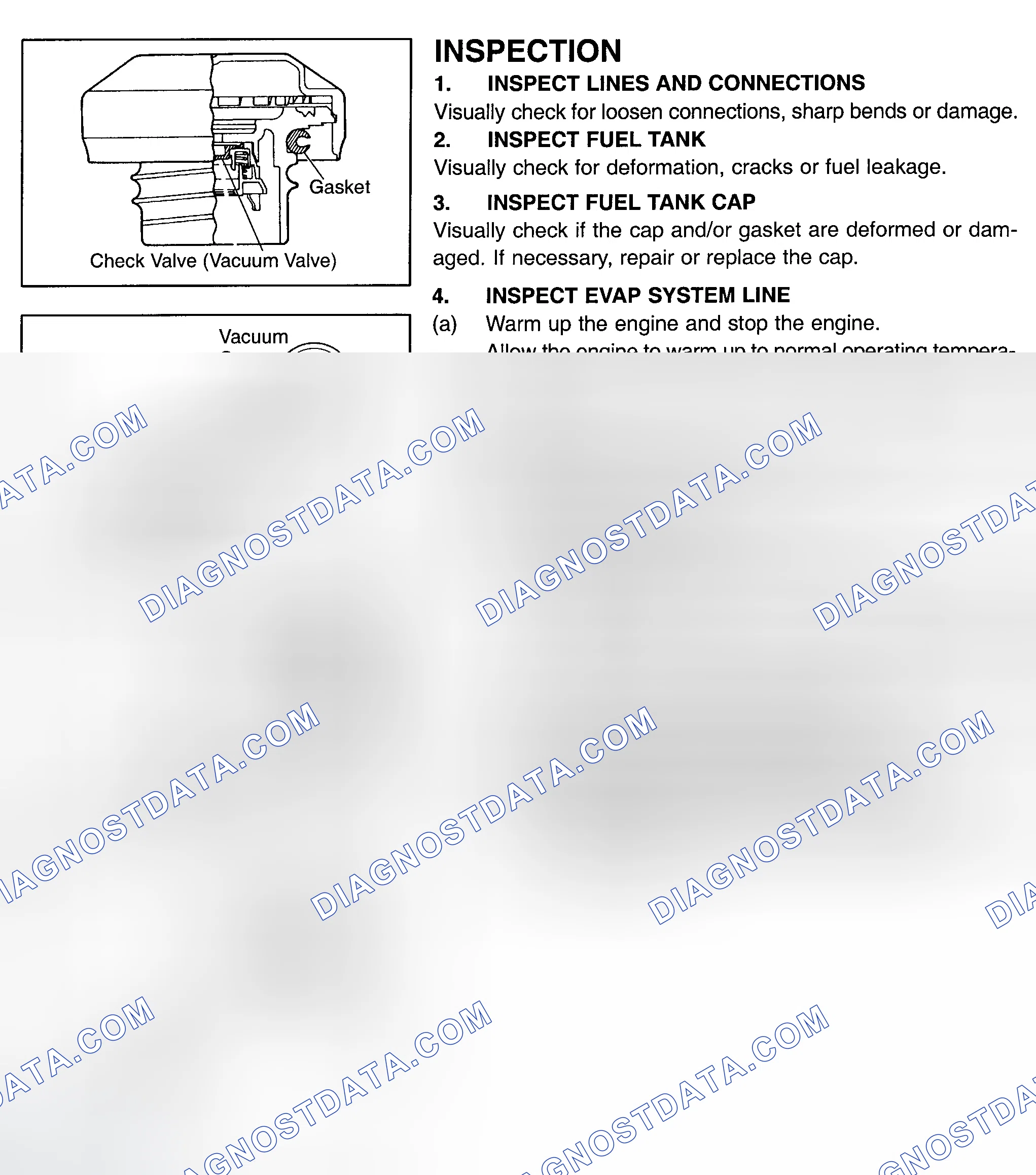 Scheme 303: Fuel EVAP System Test (Tacoma)
