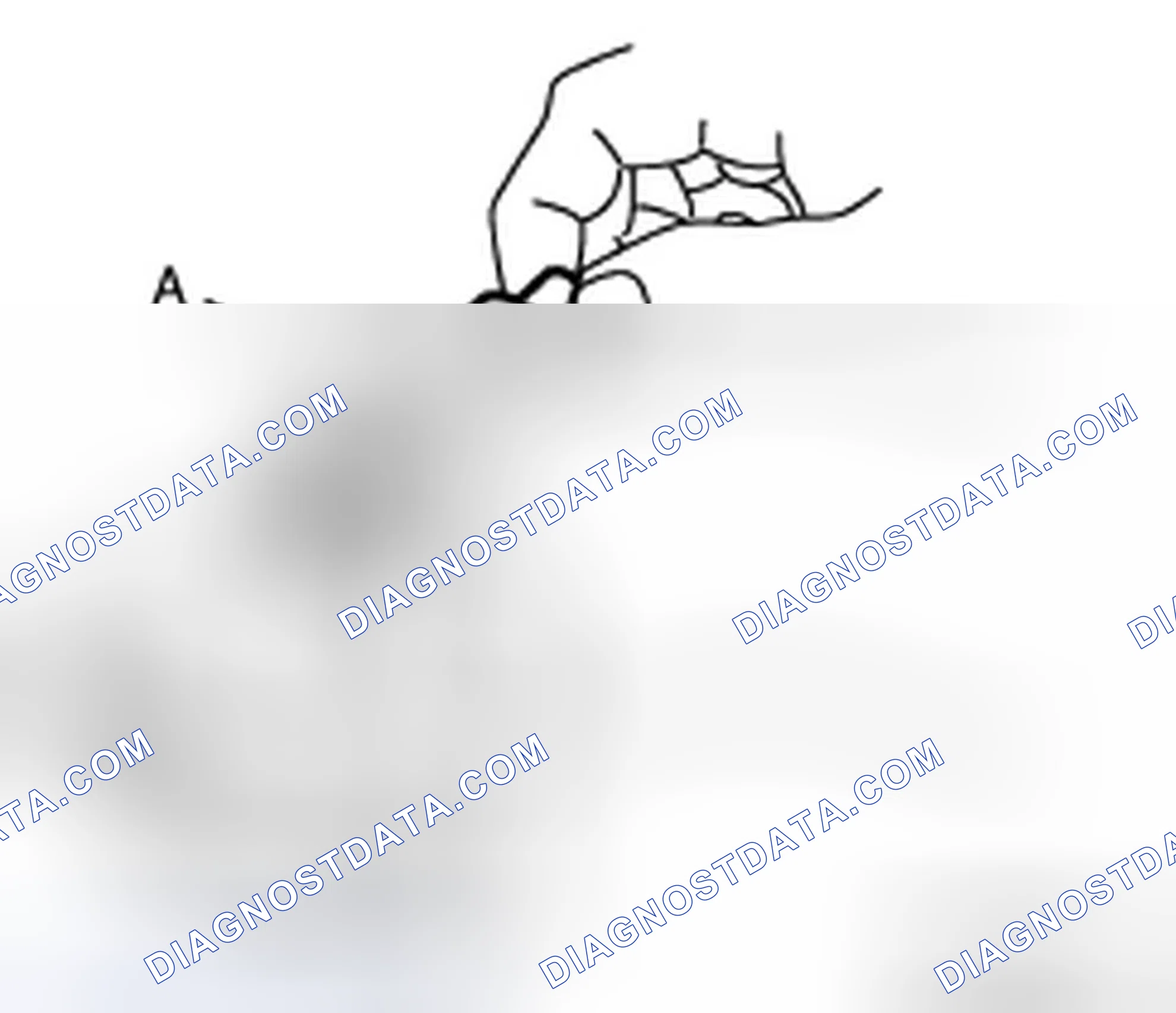 Scheme 8