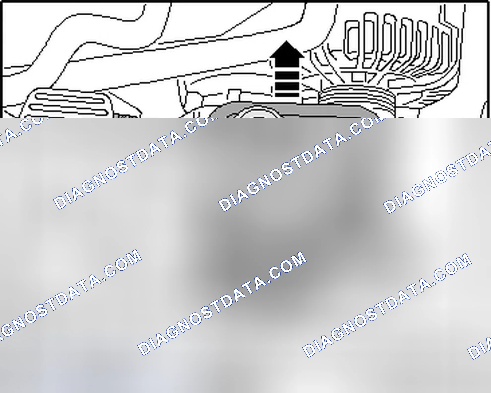 Scheme 330