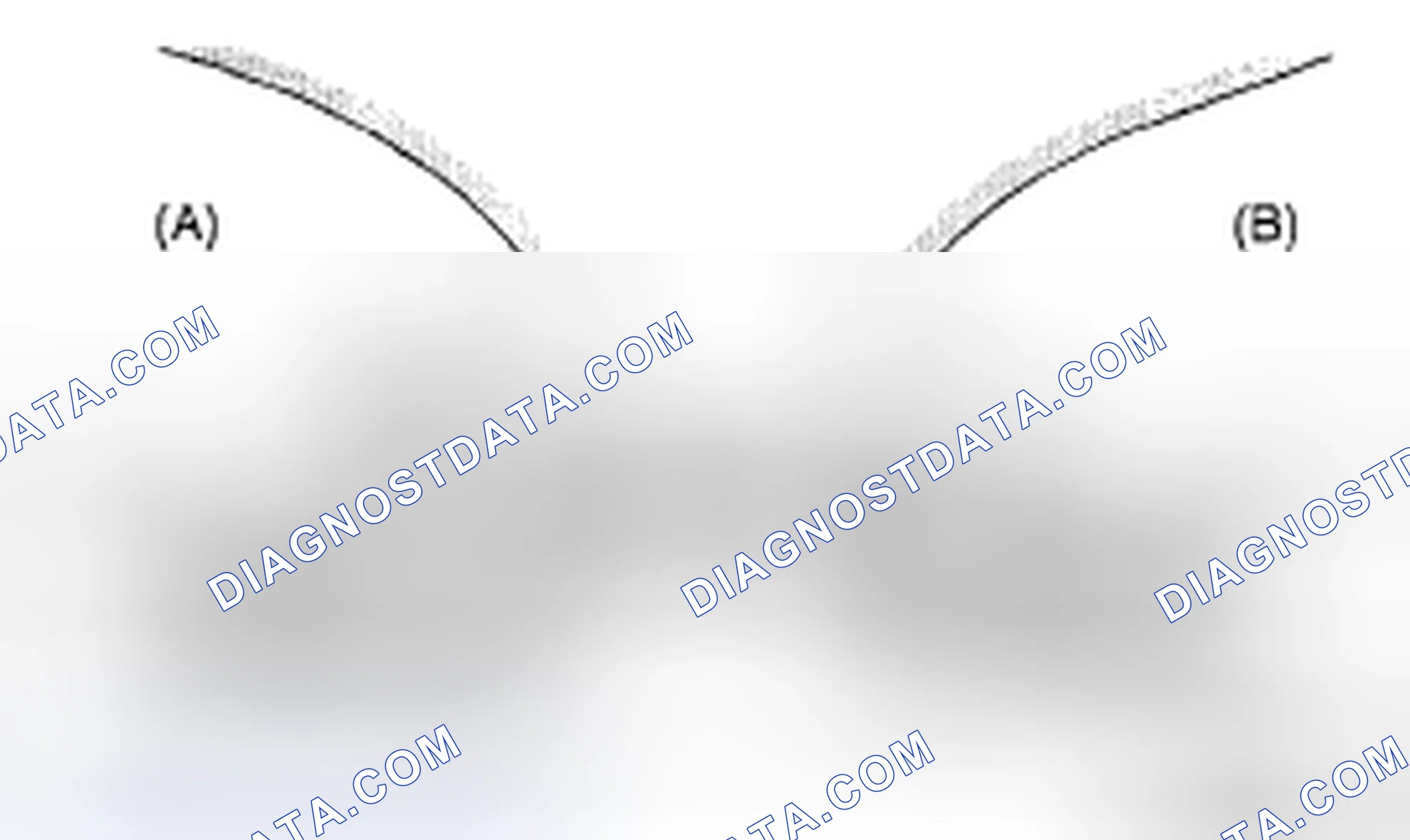 Scheme 213: VALVE SEAT