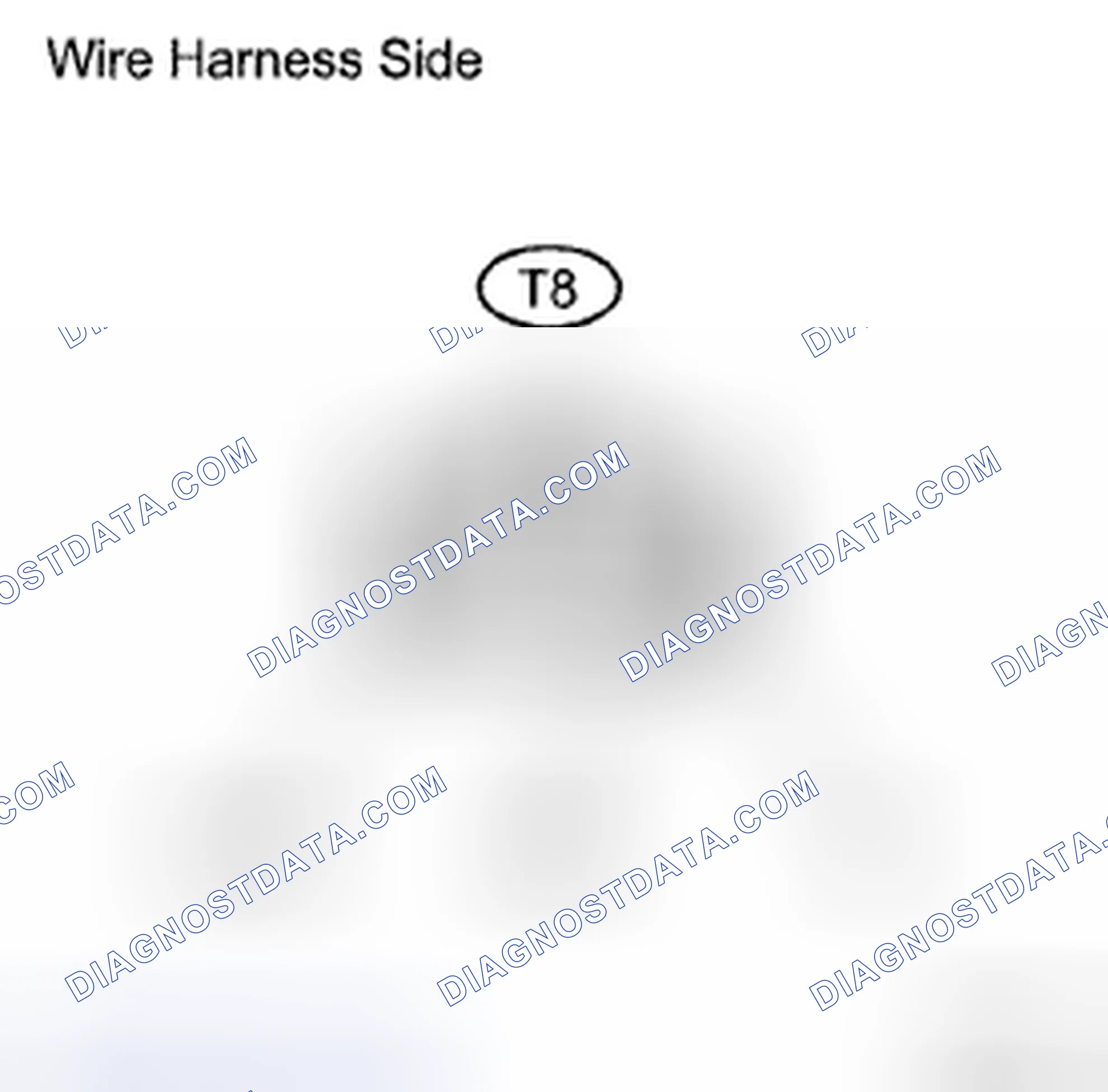 Scheme 11: INSPECTION PROCEDURE
