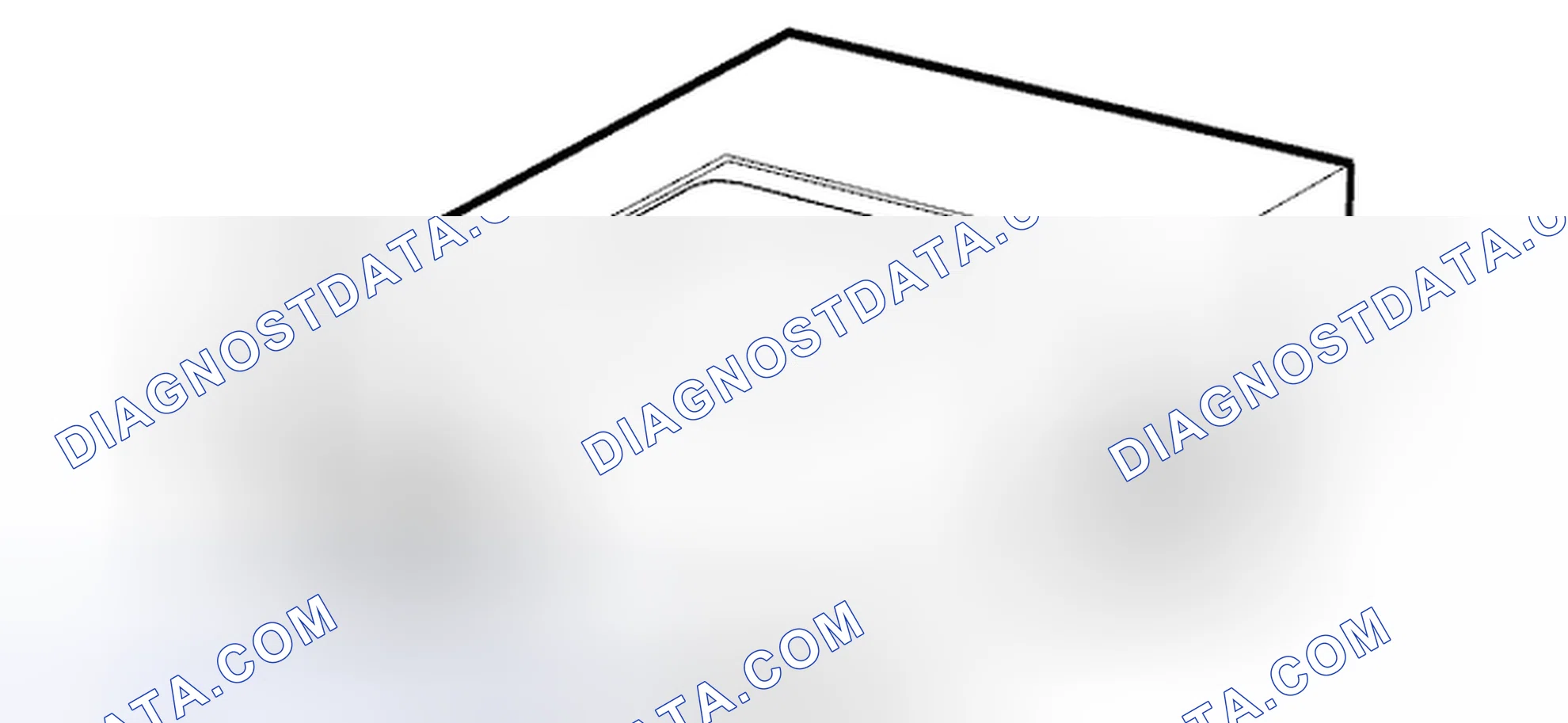 Scheme 16: Diagnostic trouble code (DTC) information