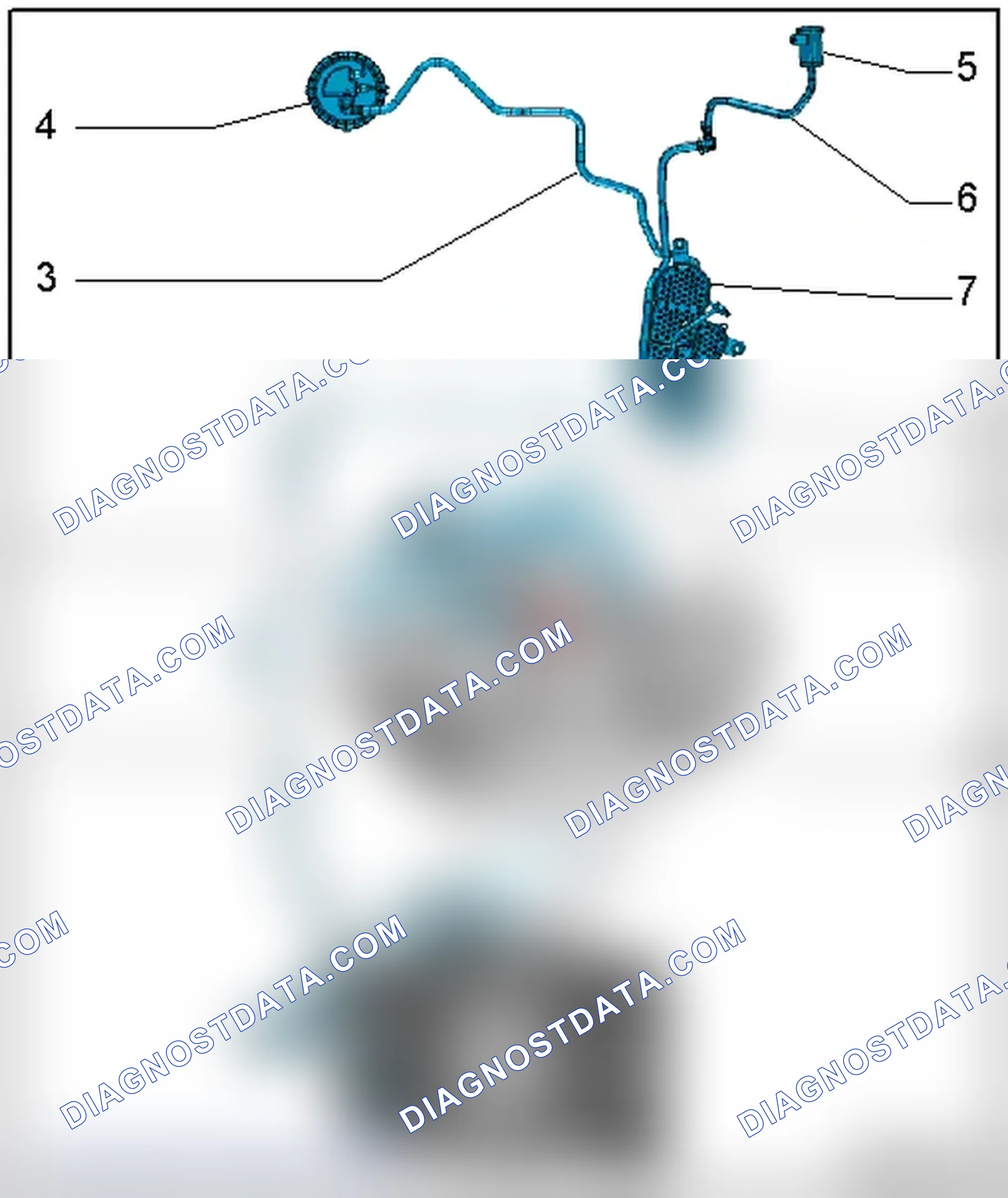 Scheme 12: EVAP CANISTER AND LEAK DETECTION SYSTEM HOSE DIAGRAM - ENGINE CODE(S): CALA & CCBA & CGXC