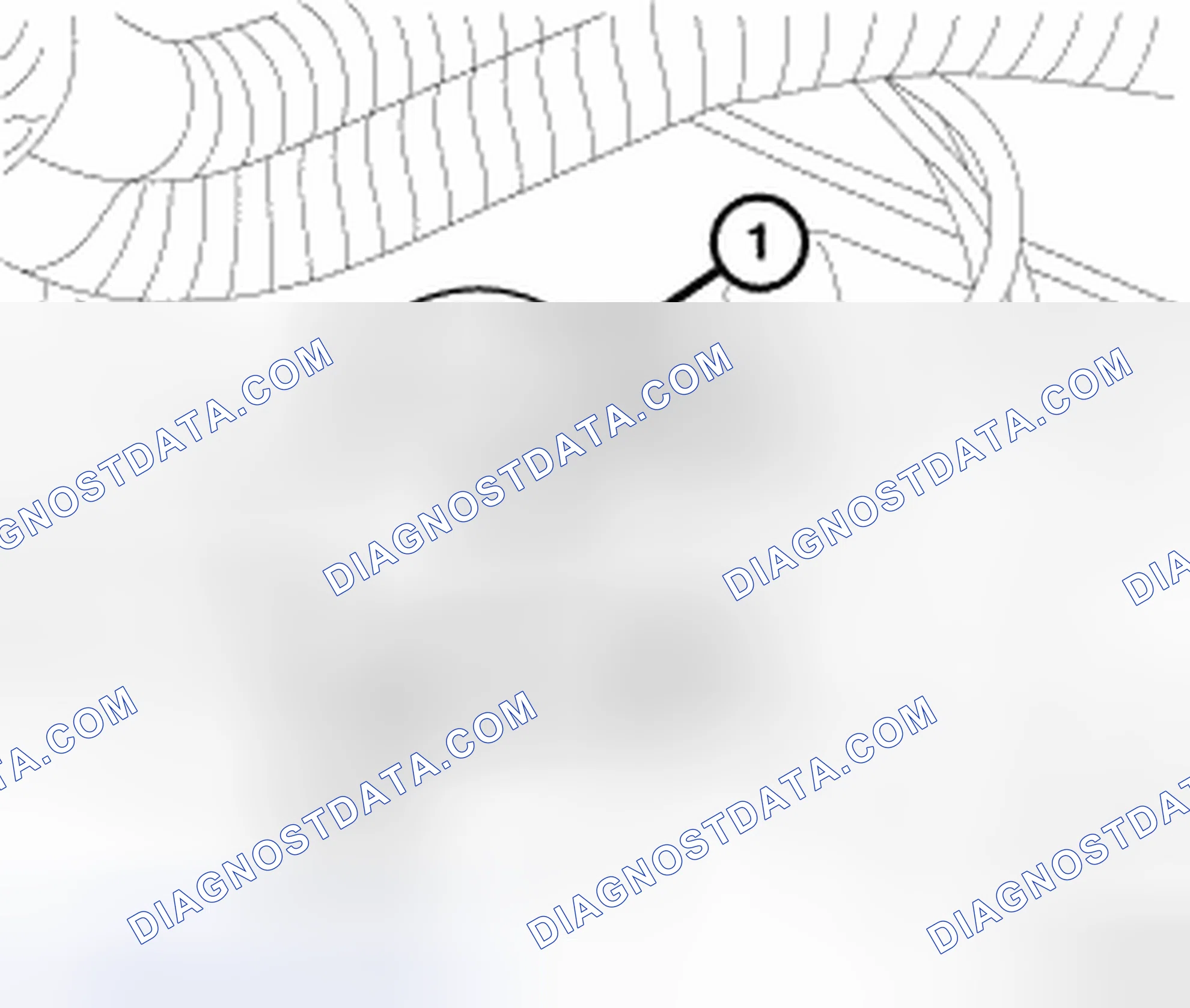 Scheme 17: CAPACITOR - IGNITION COIL - 3.5L