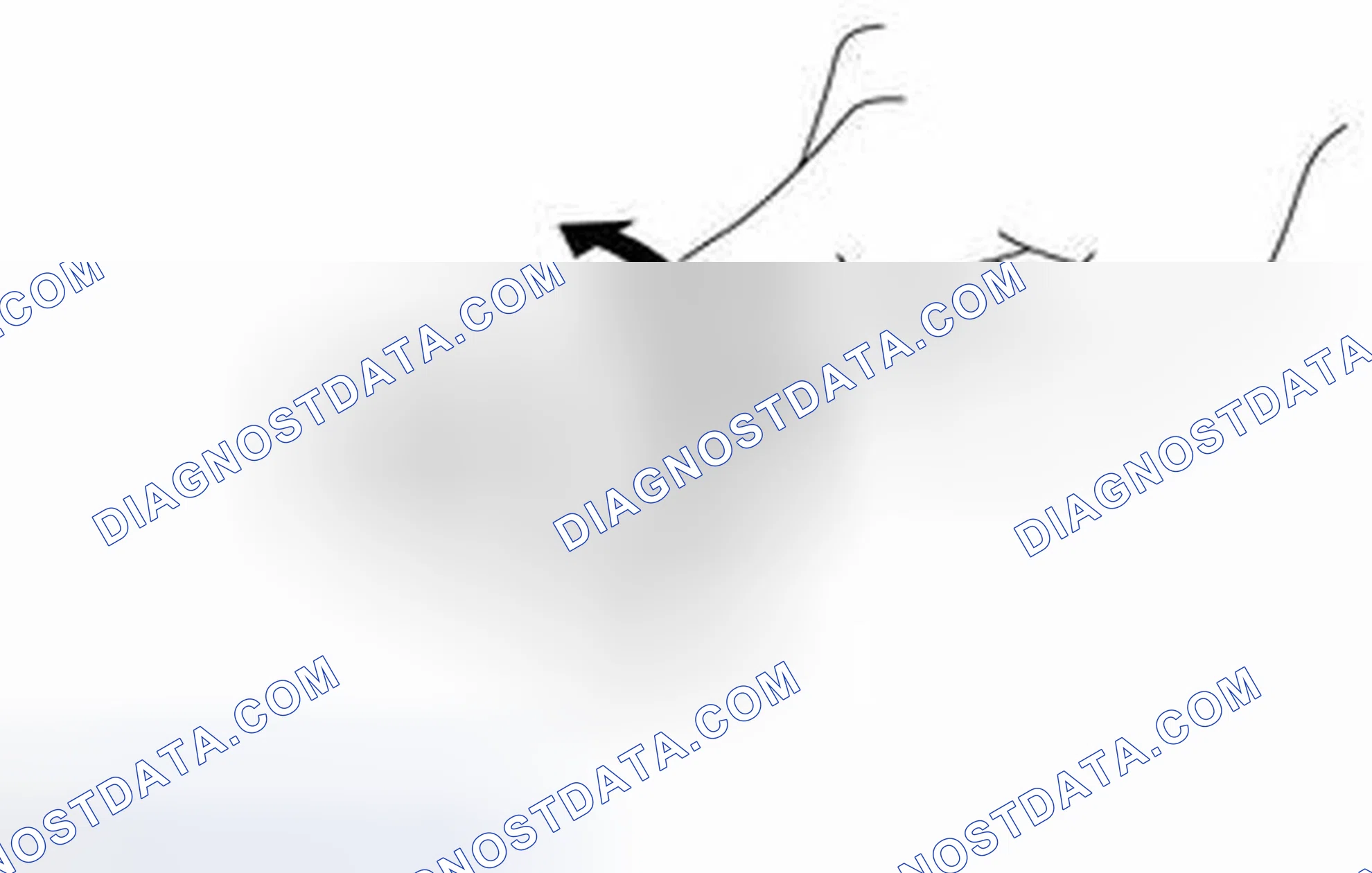 Scheme 239: INSPECTION [06/2012 - ]