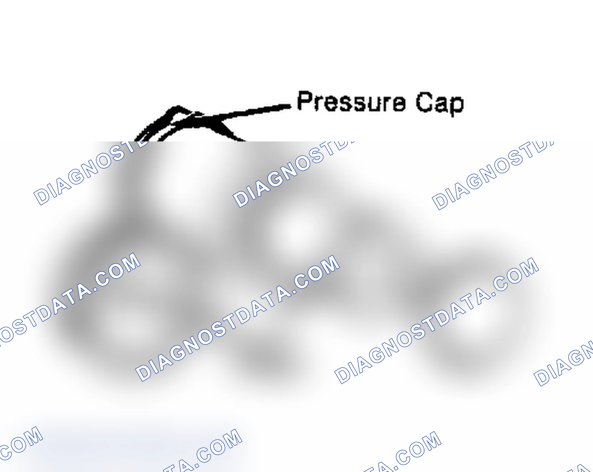 Scheme 2: Testing Radiator Pressure Cap Wet cap gasket before testing.