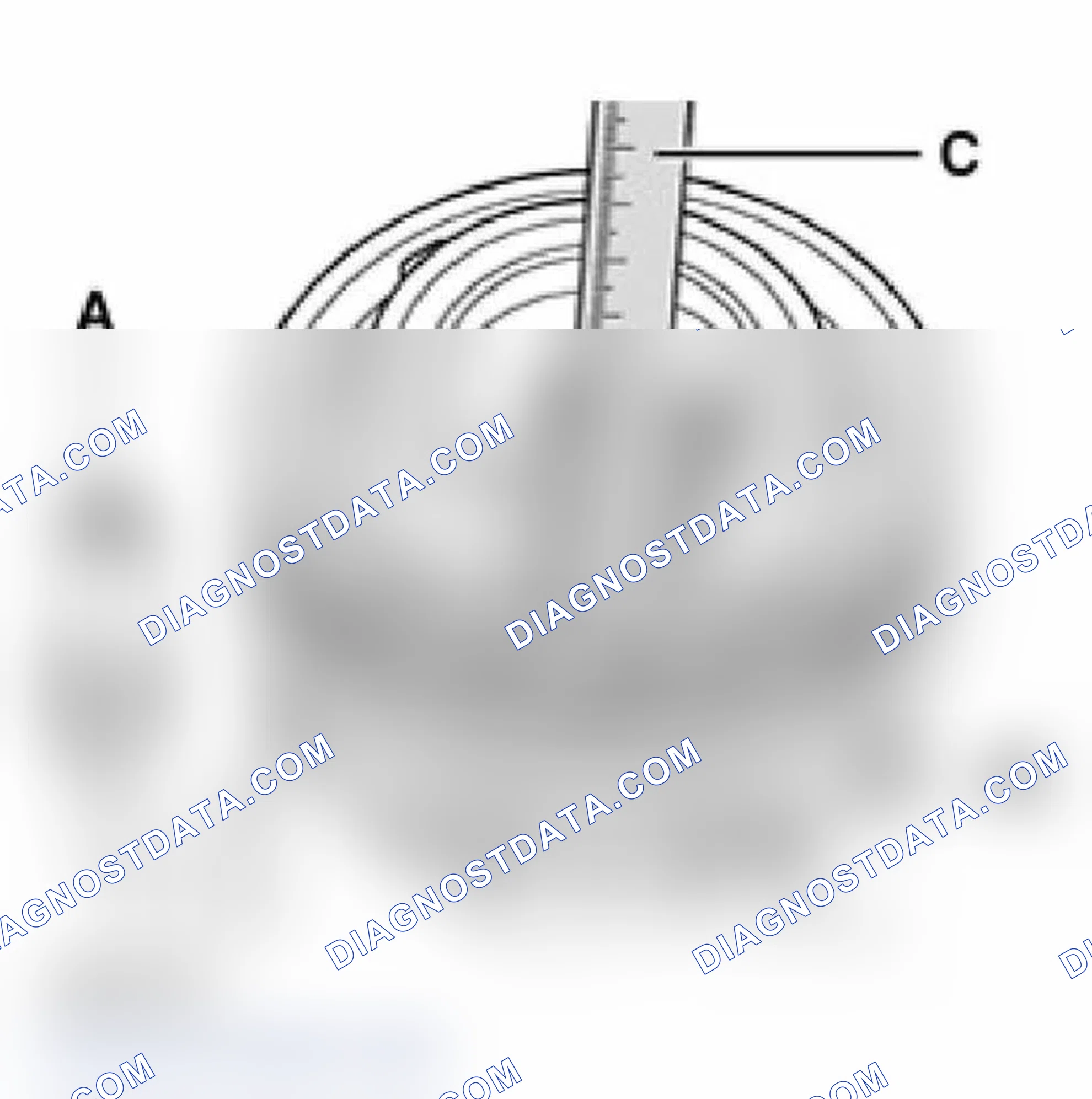 Scheme 19