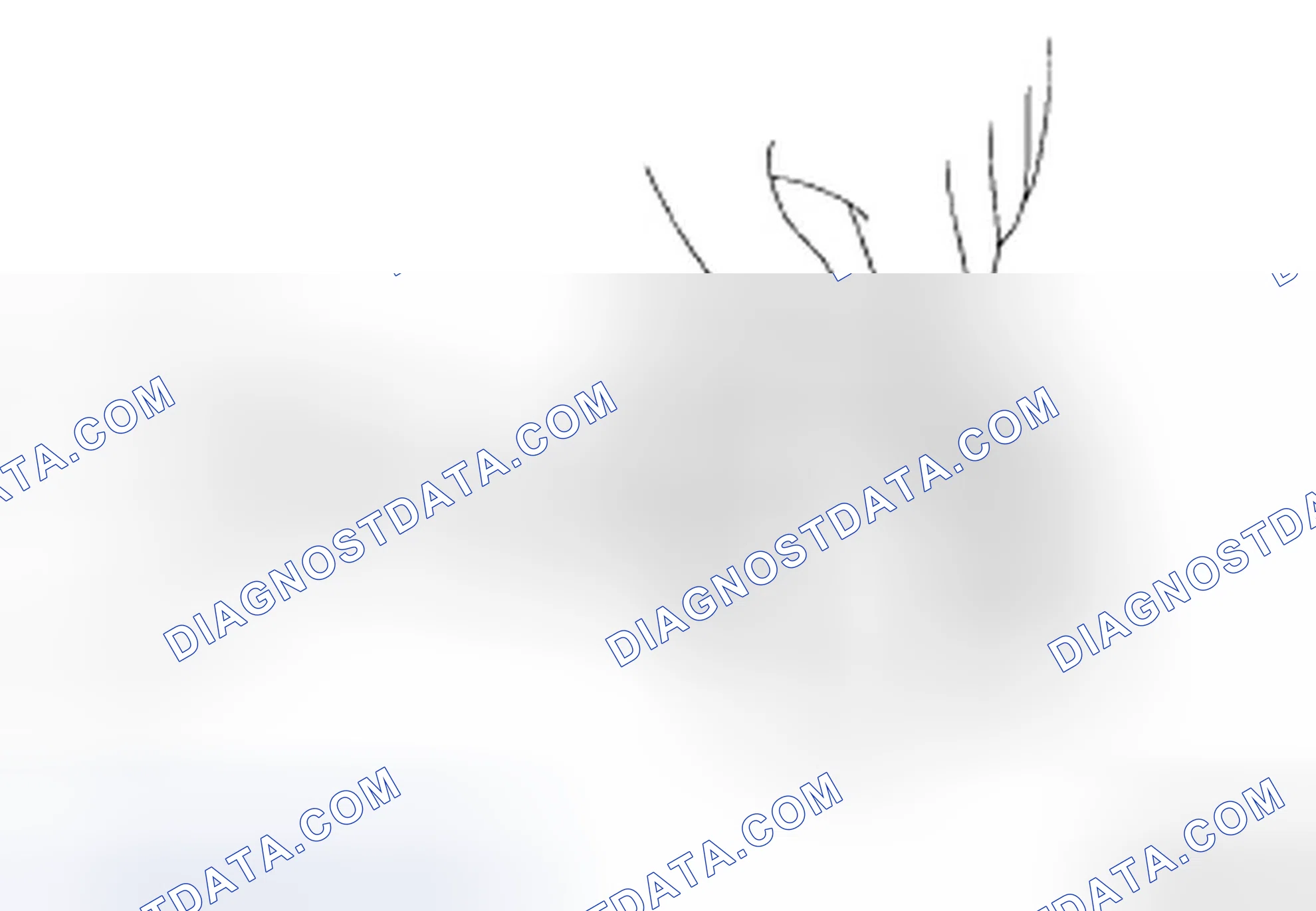 Scheme 204: CAMSHAFT