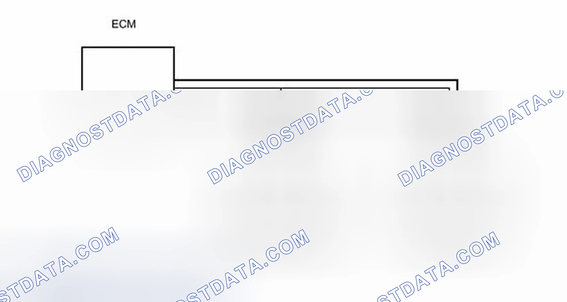 Scheme 81: WIRING DIAGRAM