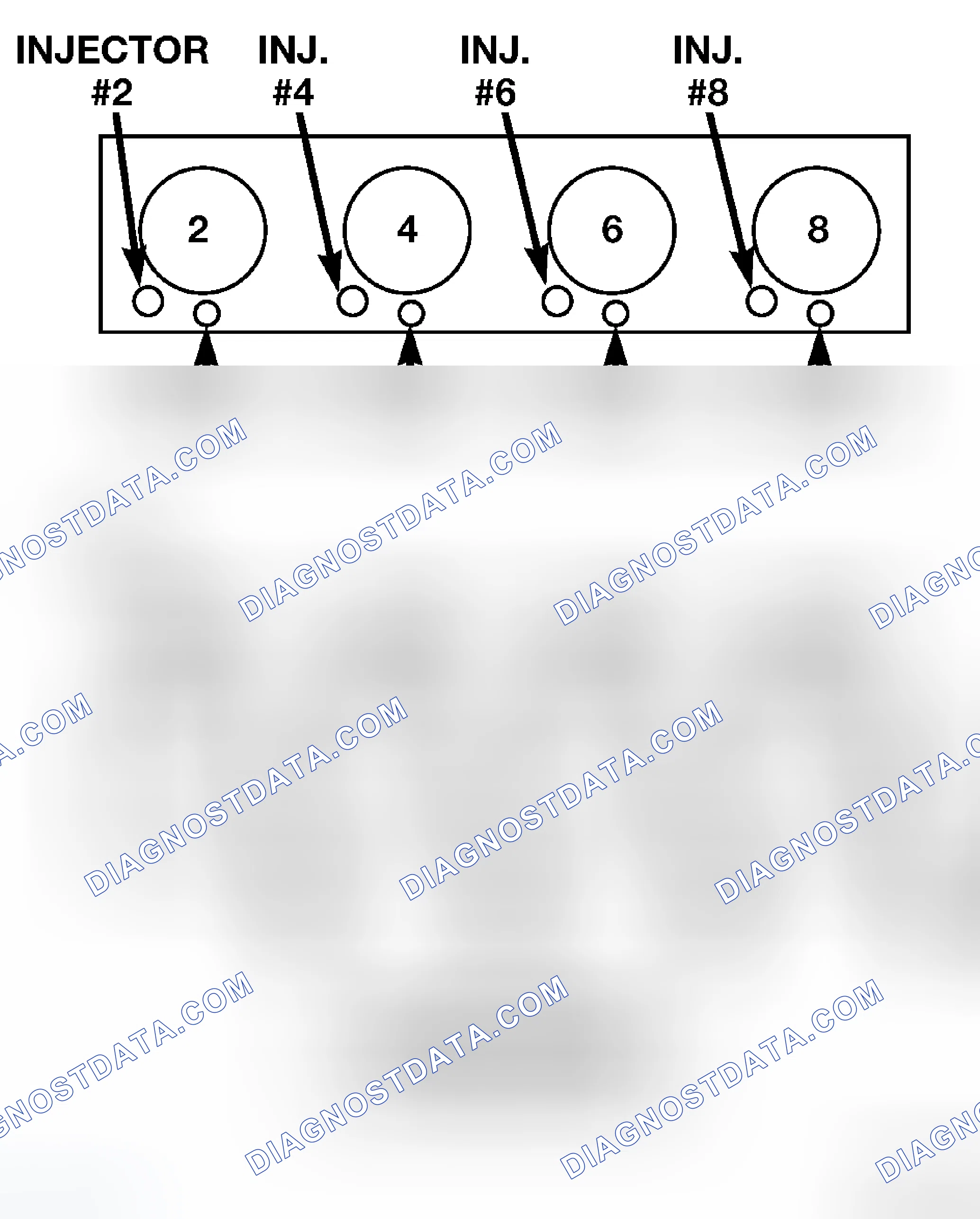 Scheme 22: ENGINE FIRING ORDER - 4.7L