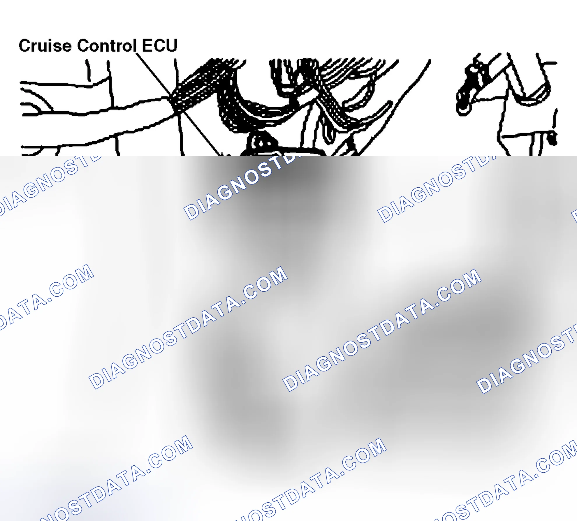 Scheme 80: CRUISE CONTROL ECU
