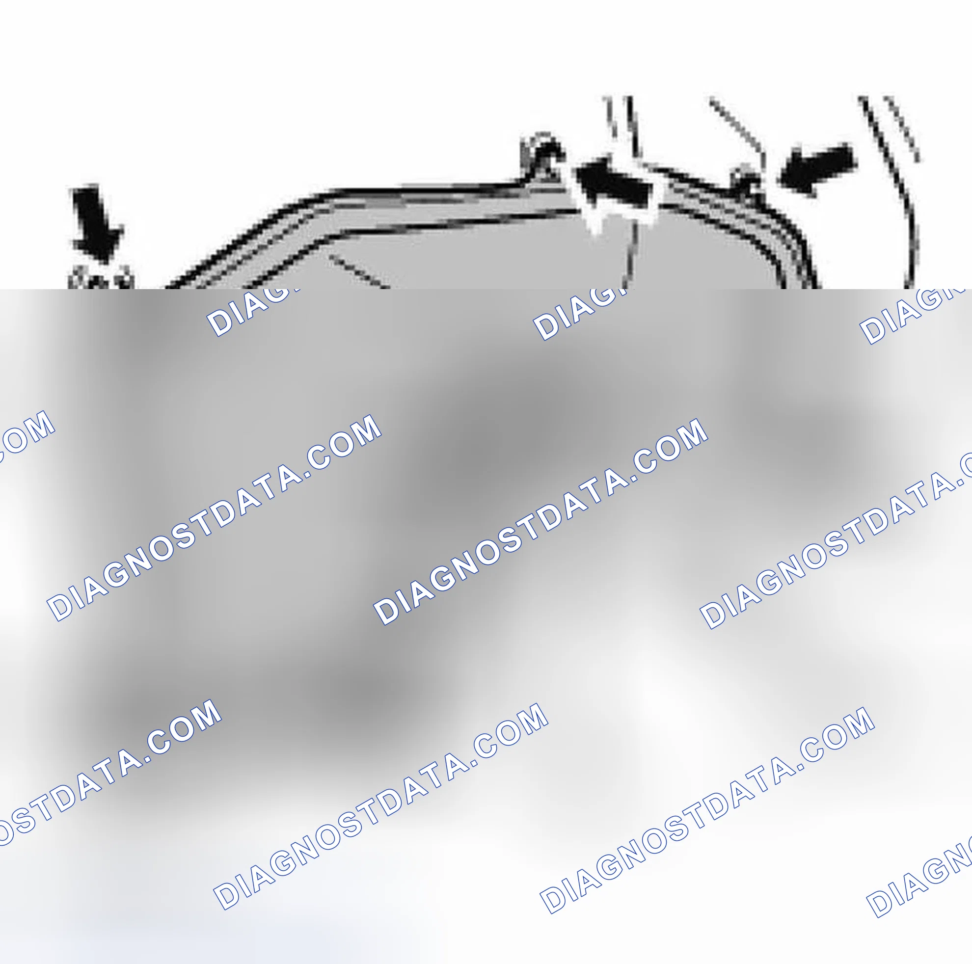 Scheme 44: ENGINE MAINTENANCE: CHECKING POLYRIB BELT STATE
