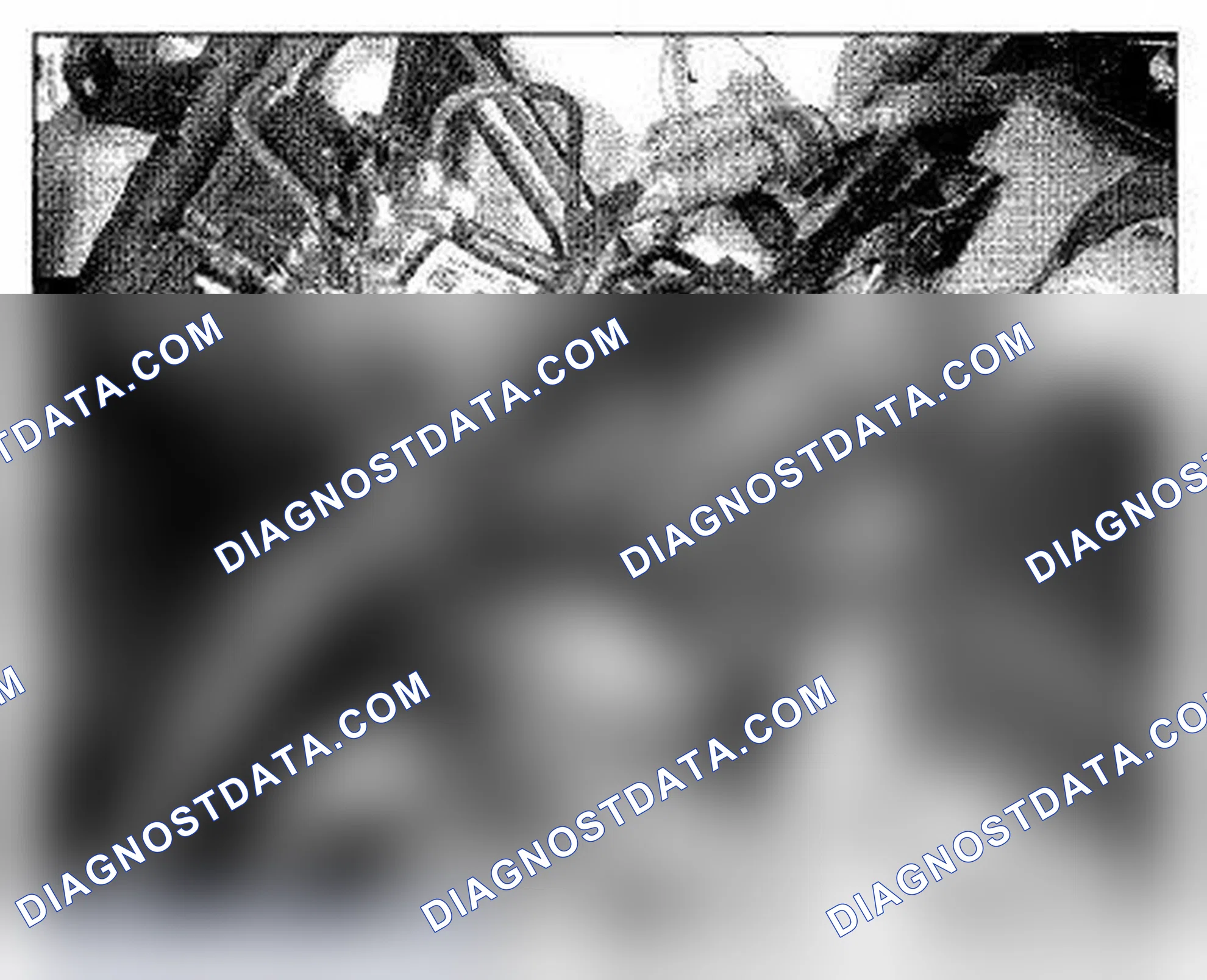 Scheme 1012: Right Side Of Engine Compartment Component Location (Photo 3)