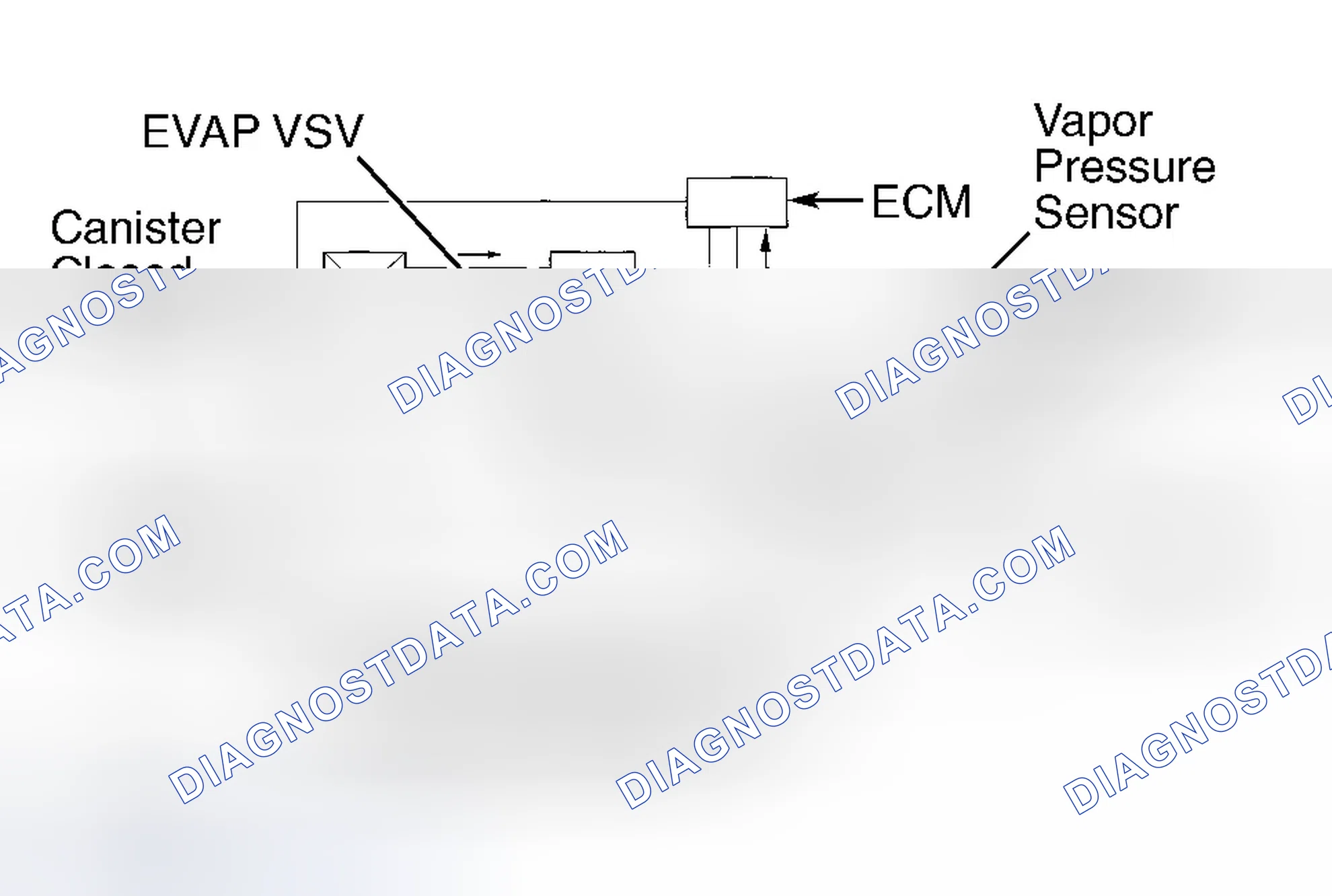 Scheme 51: Vapor Pressure Sensor (Avalon, Camry, Camry Solara, Celica, Corolla, Highlander, MR2, RAV4, Sequoia,