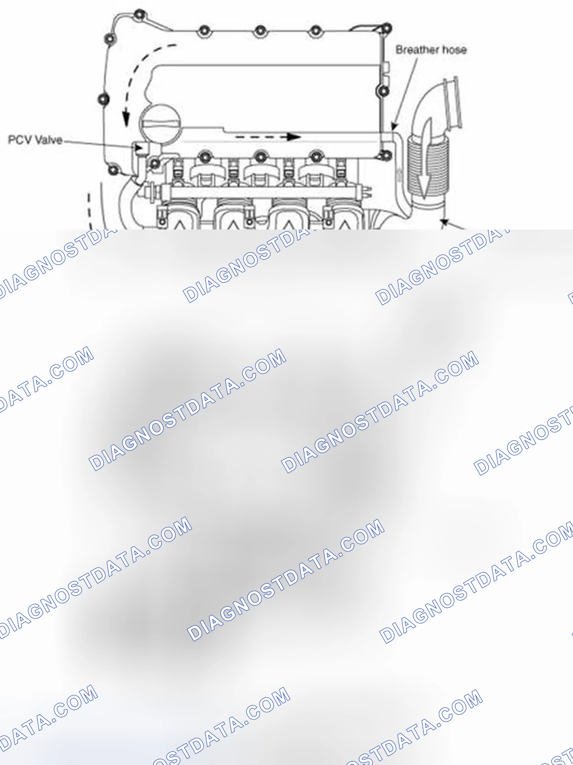 Scheme 5: Schematic Diagram