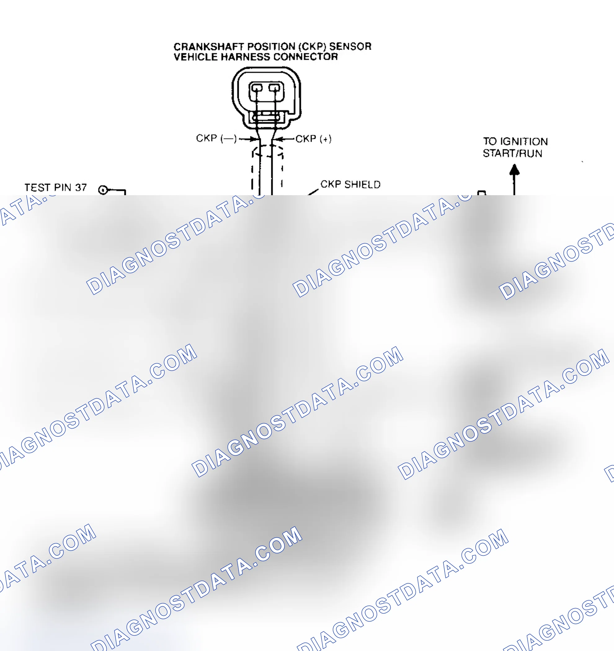 Scheme 22: Ignition System Wiring Diagram (4.6L)