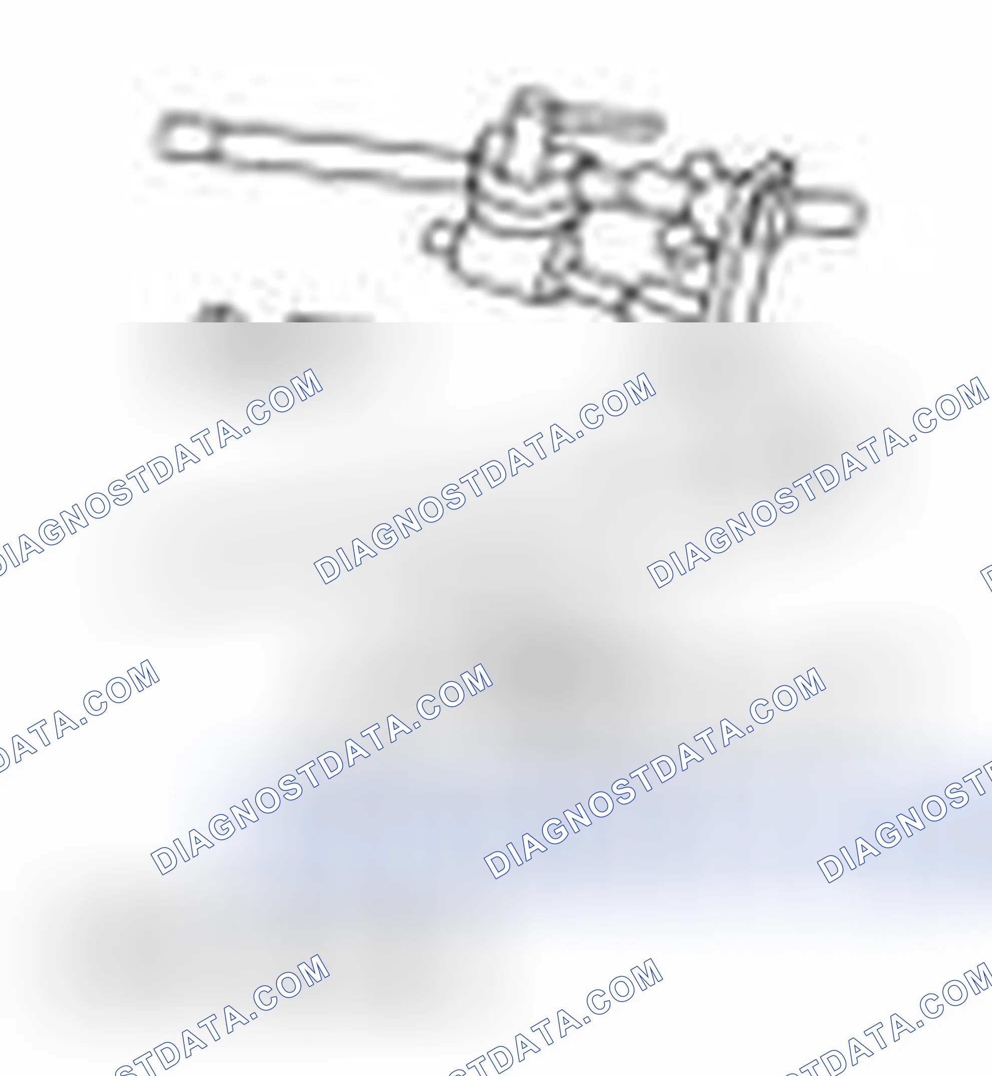 Scheme 2315: Special Tool(s)